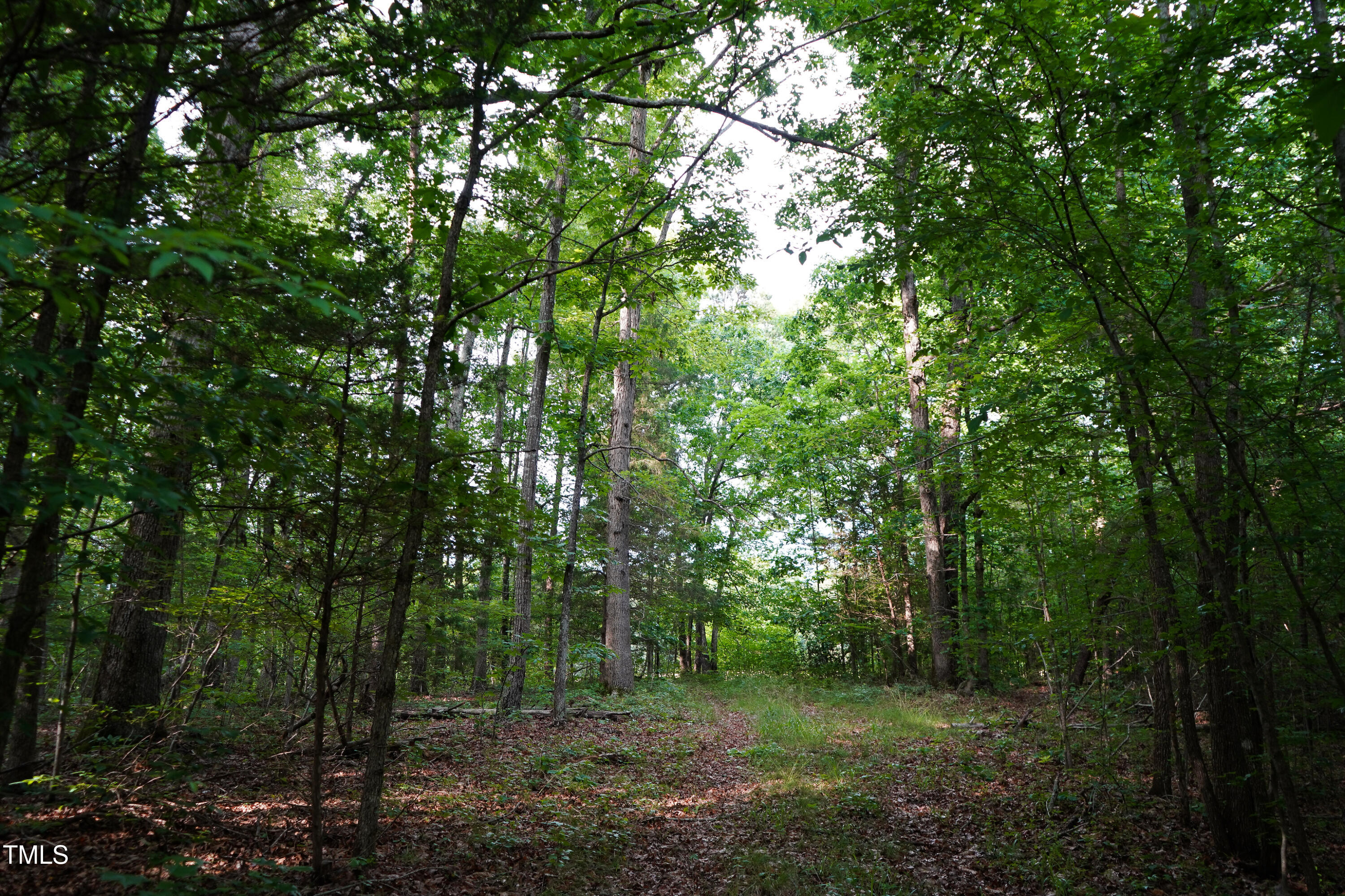 52.8-acres Atkins Road Mebane, NC 27302 - Photo 17 of 36 17