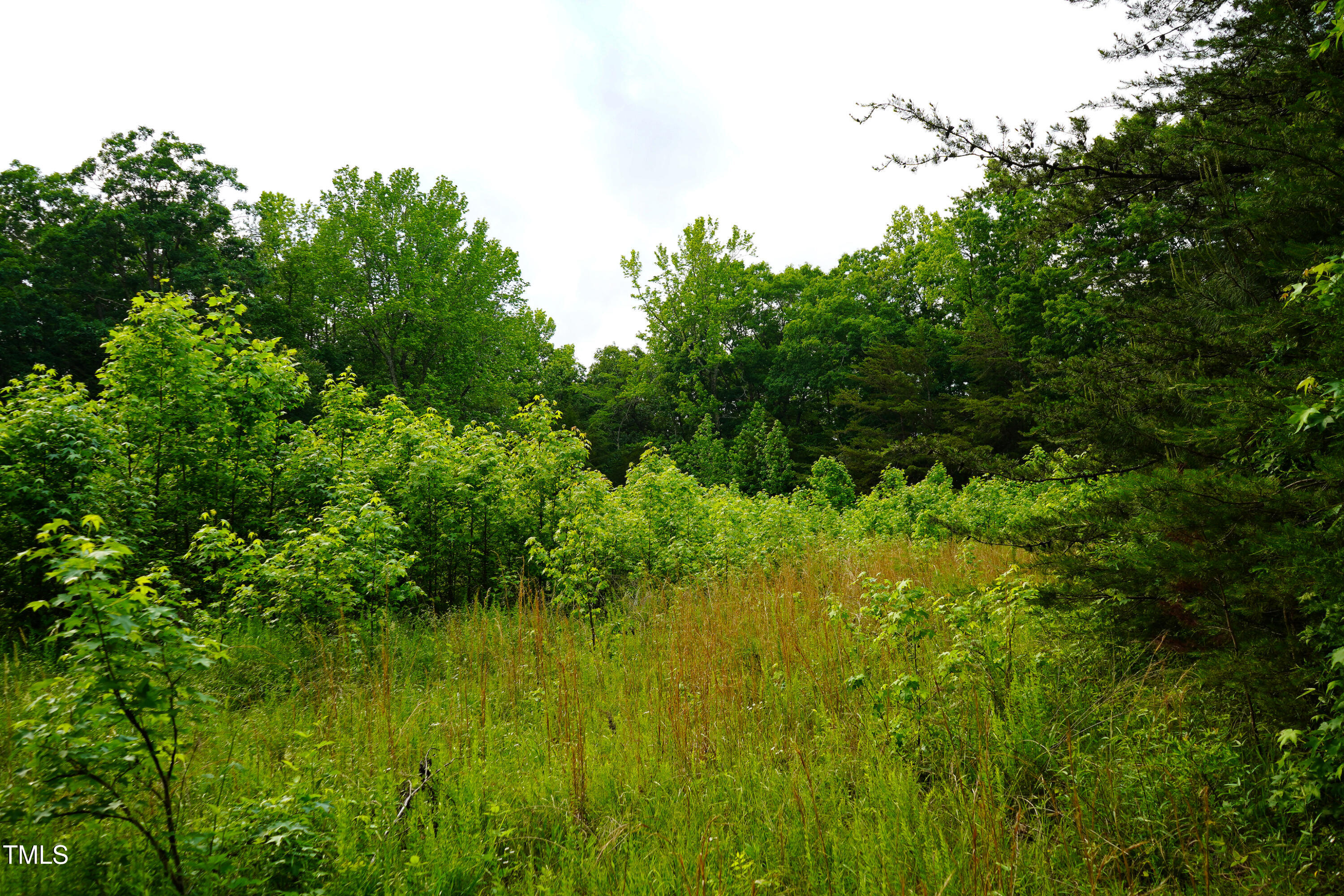 52.8-acres Atkins Road Mebane, NC 27302 - Photo 19 of 36 19