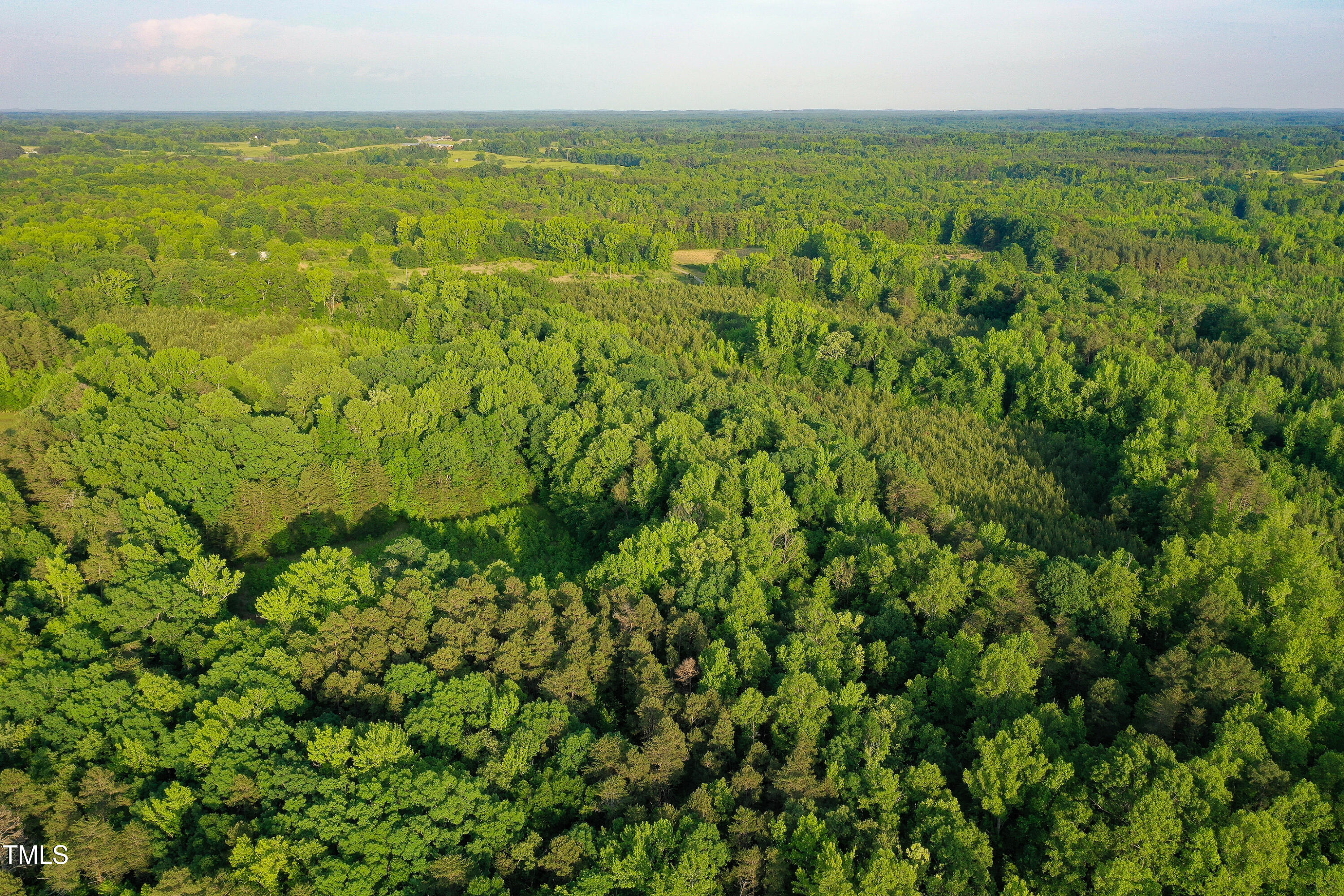 52.8-acres Atkins Road Mebane, NC 27302 - Photo 21 of 36 21