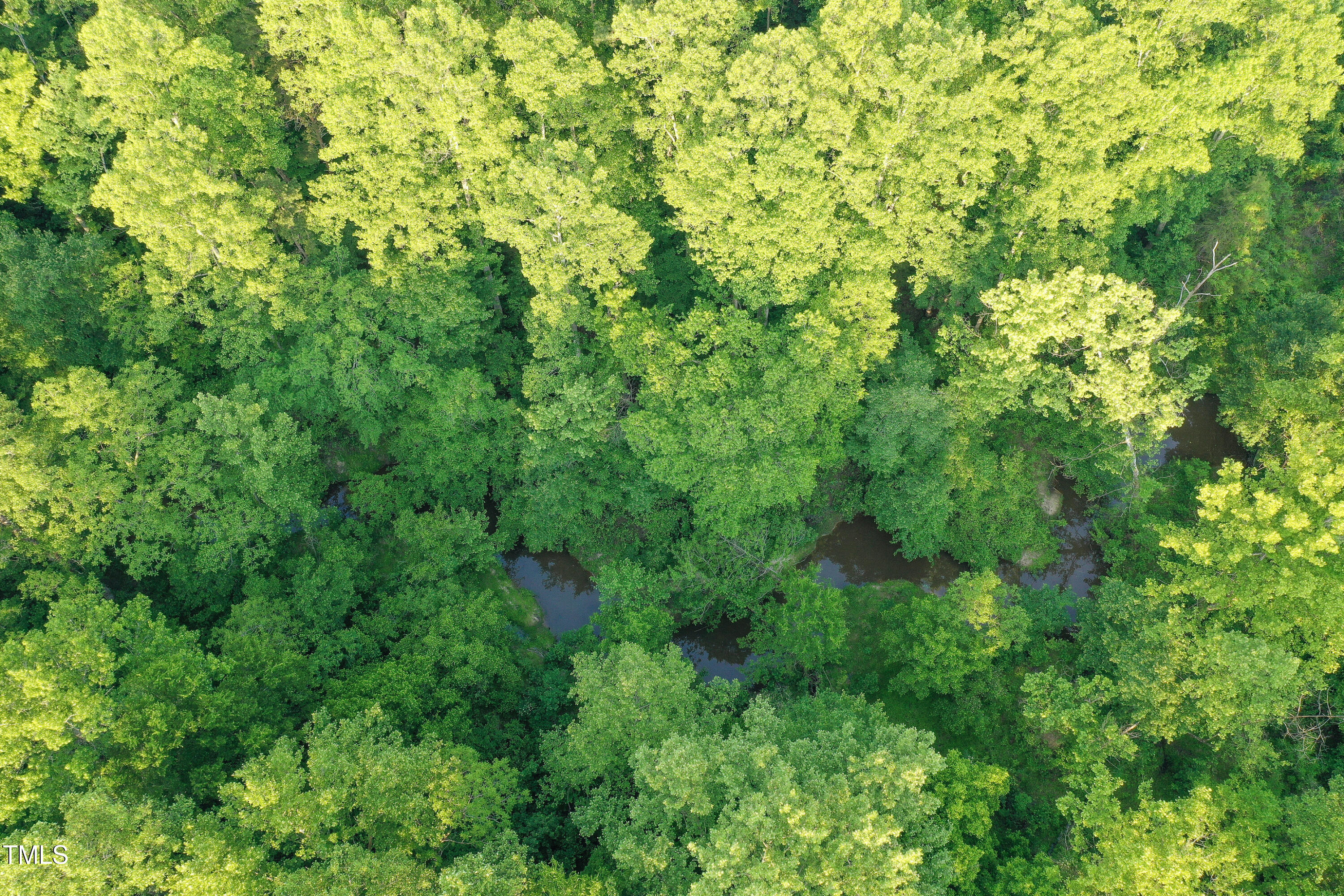 52.8-acres Atkins Road Mebane, NC 27302 - Photo 22 of 36 22