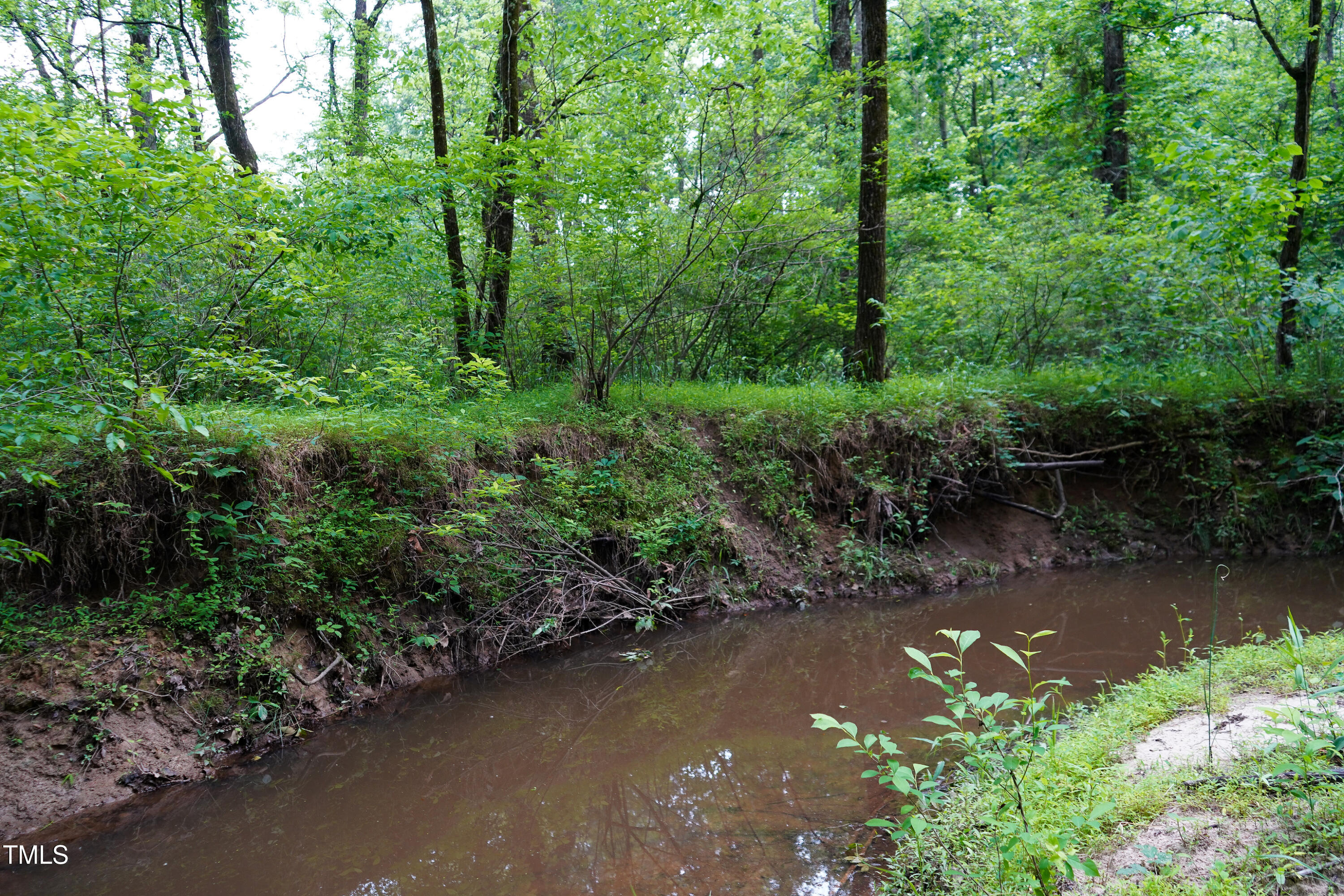 52.8-acres Atkins Road Mebane, NC 27302 - Photo 23 of 36 23