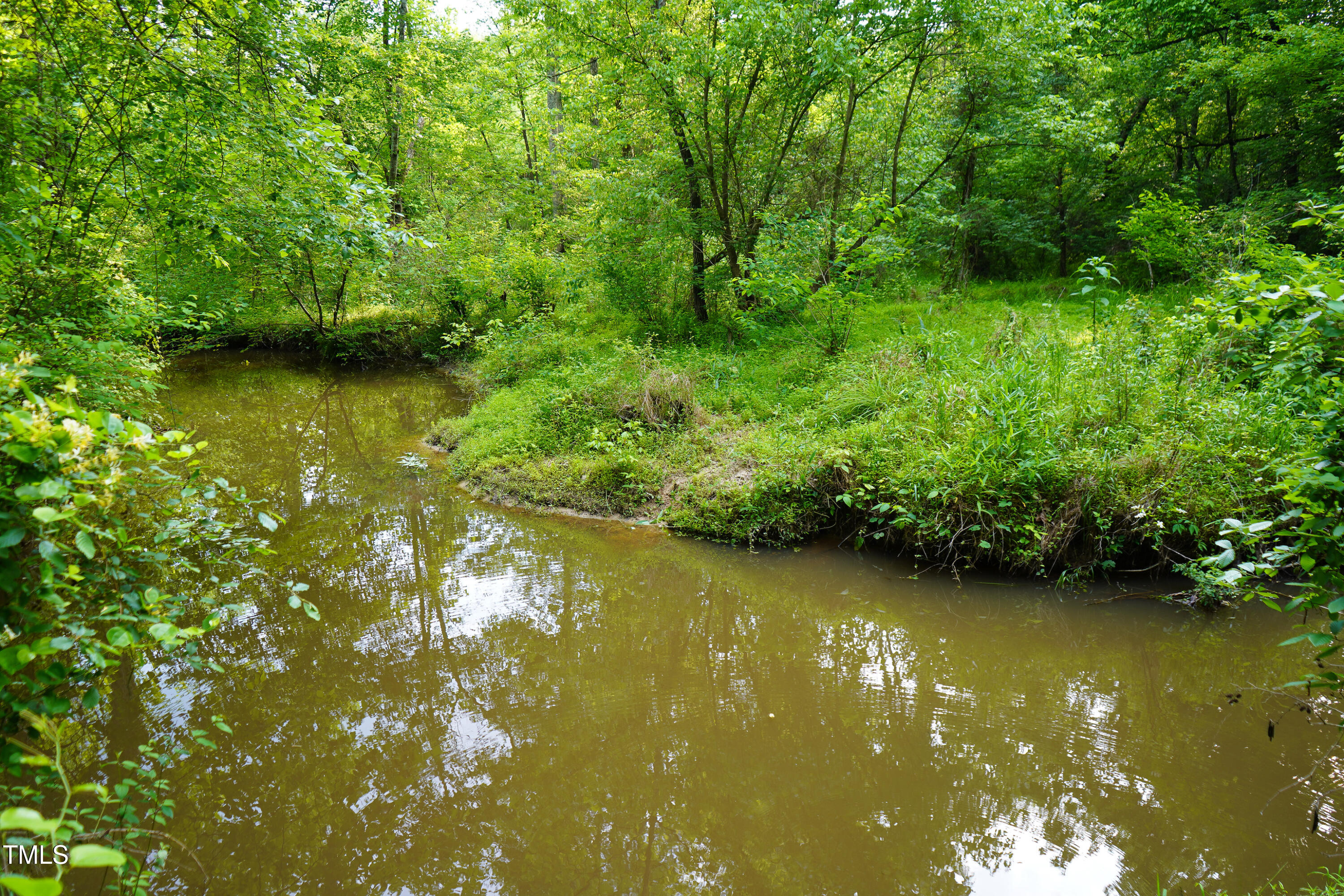 52.8-acres Atkins Road Mebane, NC 27302 - Photo 25 of 36 25