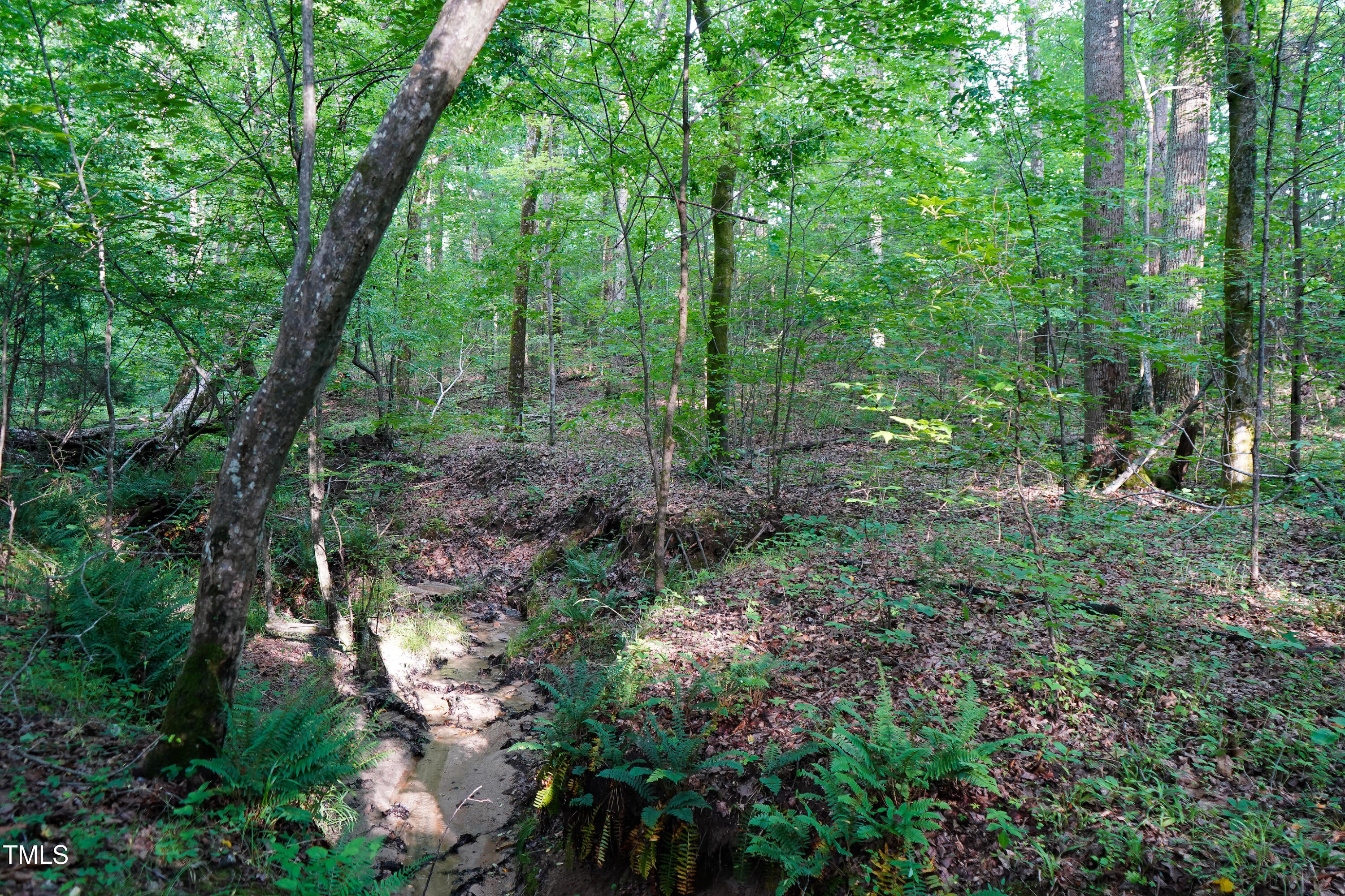 52.8-acres Atkins Road Mebane, NC 27302 - Photo 26 of 36 26