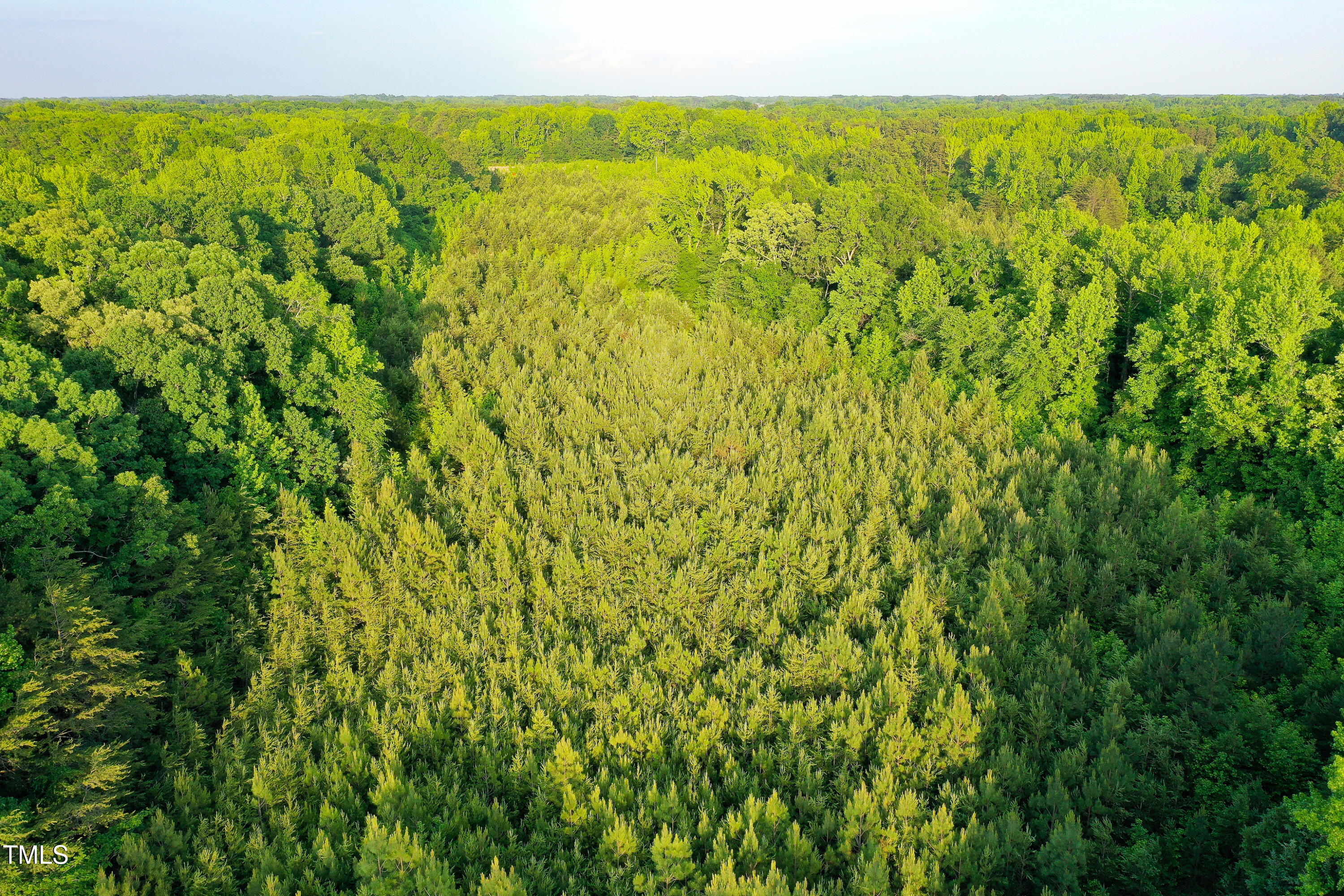 52.8-acres Atkins Road Mebane, NC 27302 - Photo 29 of 36 29