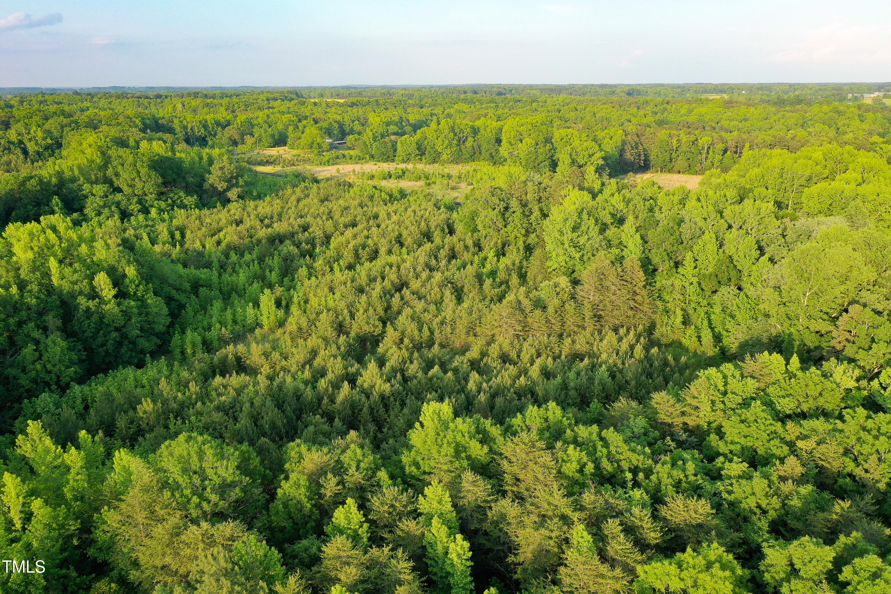 52.8-acres Atkins Road Mebane, NC 27302 - Photo 30 of 36 30