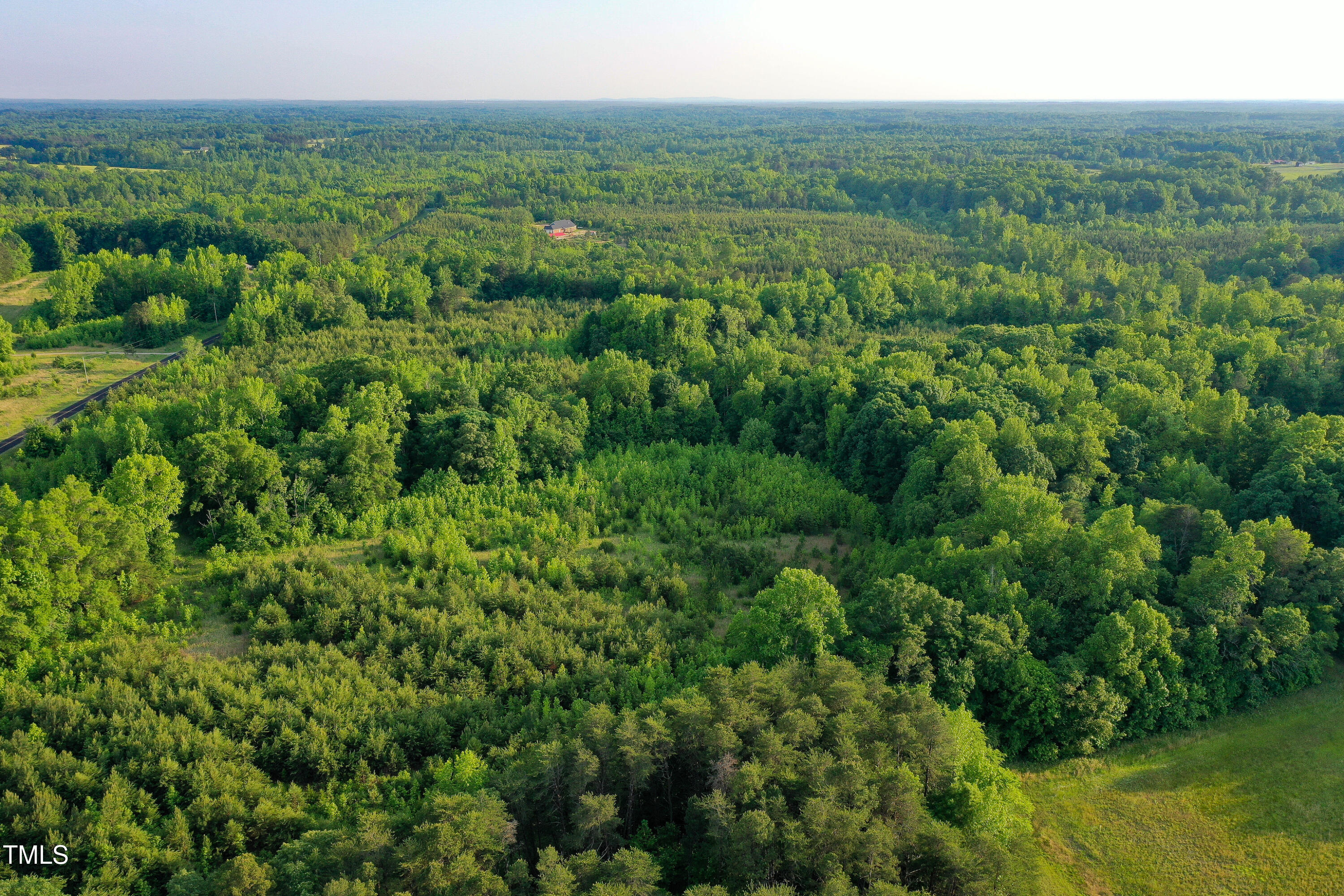 52.8-acres Atkins Road Mebane, NC 27302 - Photo 3 of 36 3