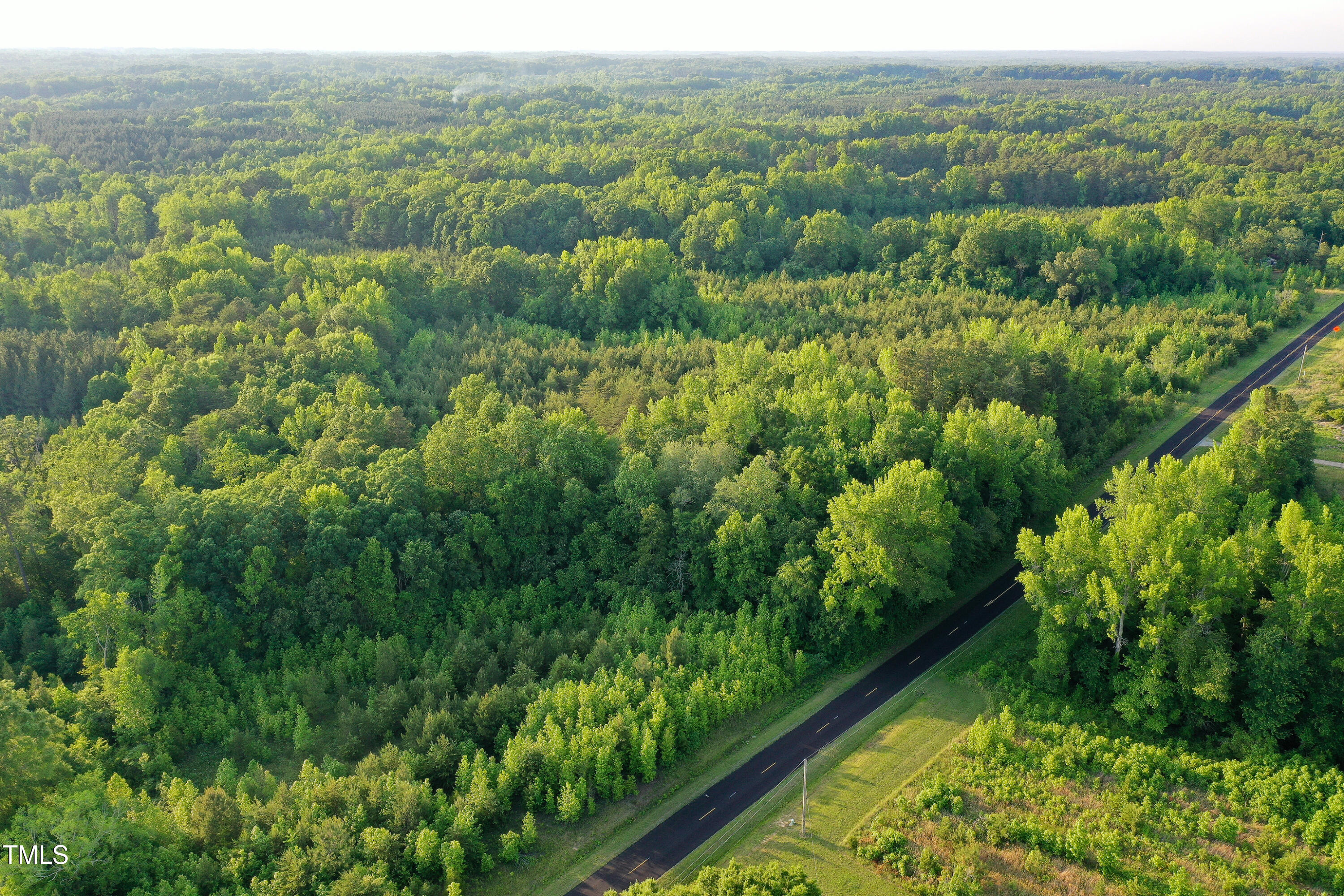52.8-acres Atkins Road Mebane, NC 27302 - Photo 31 of 36 31