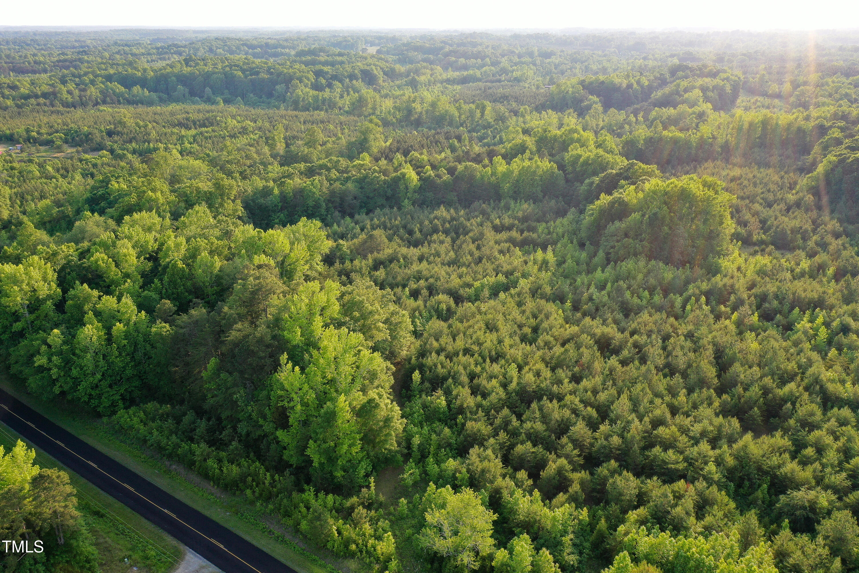 52.8-acres Atkins Road Mebane, NC 27302 - Photo 32 of 36 32