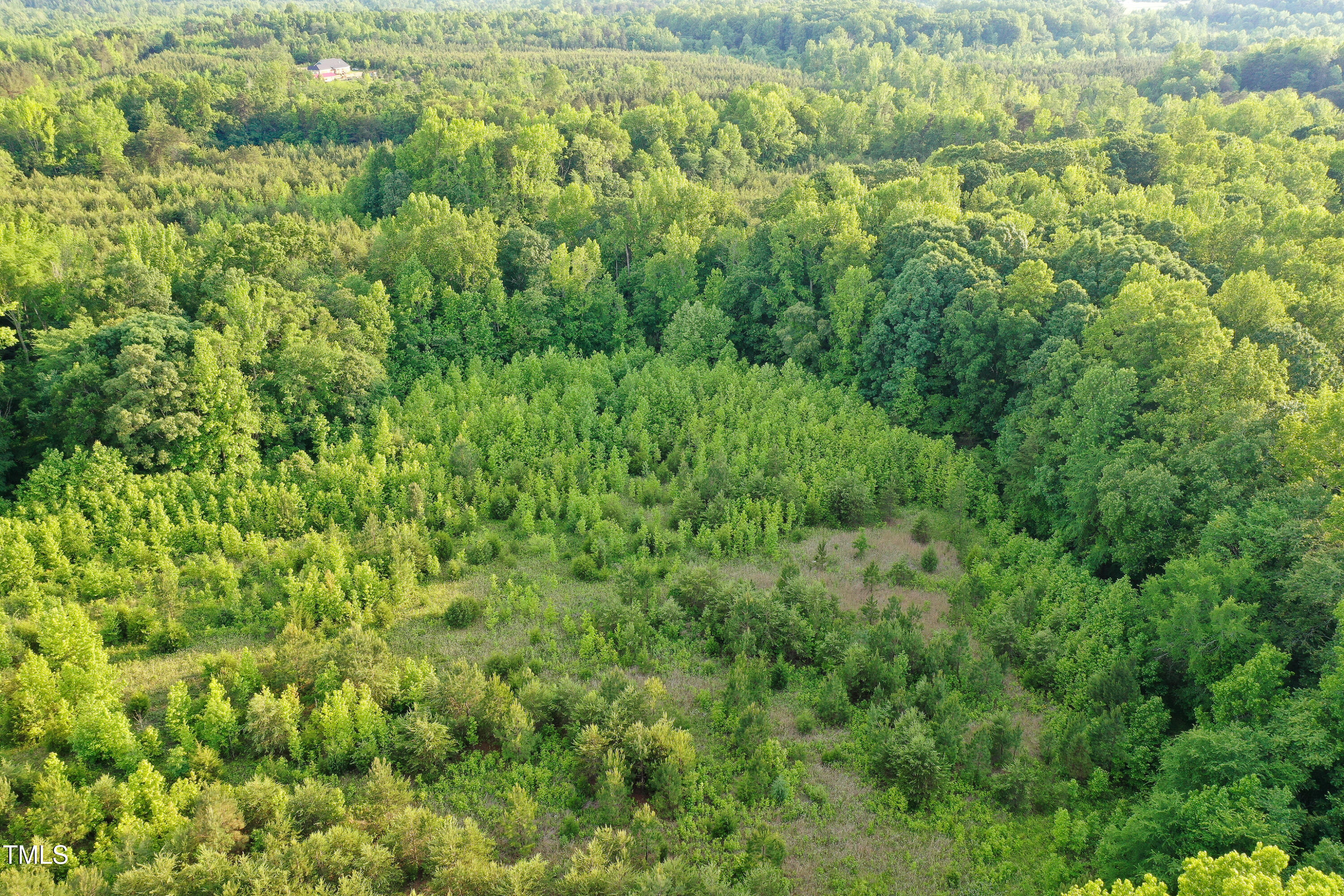 52.8-acres Atkins Road Mebane, NC 27302 - Photo 4 of 36 4