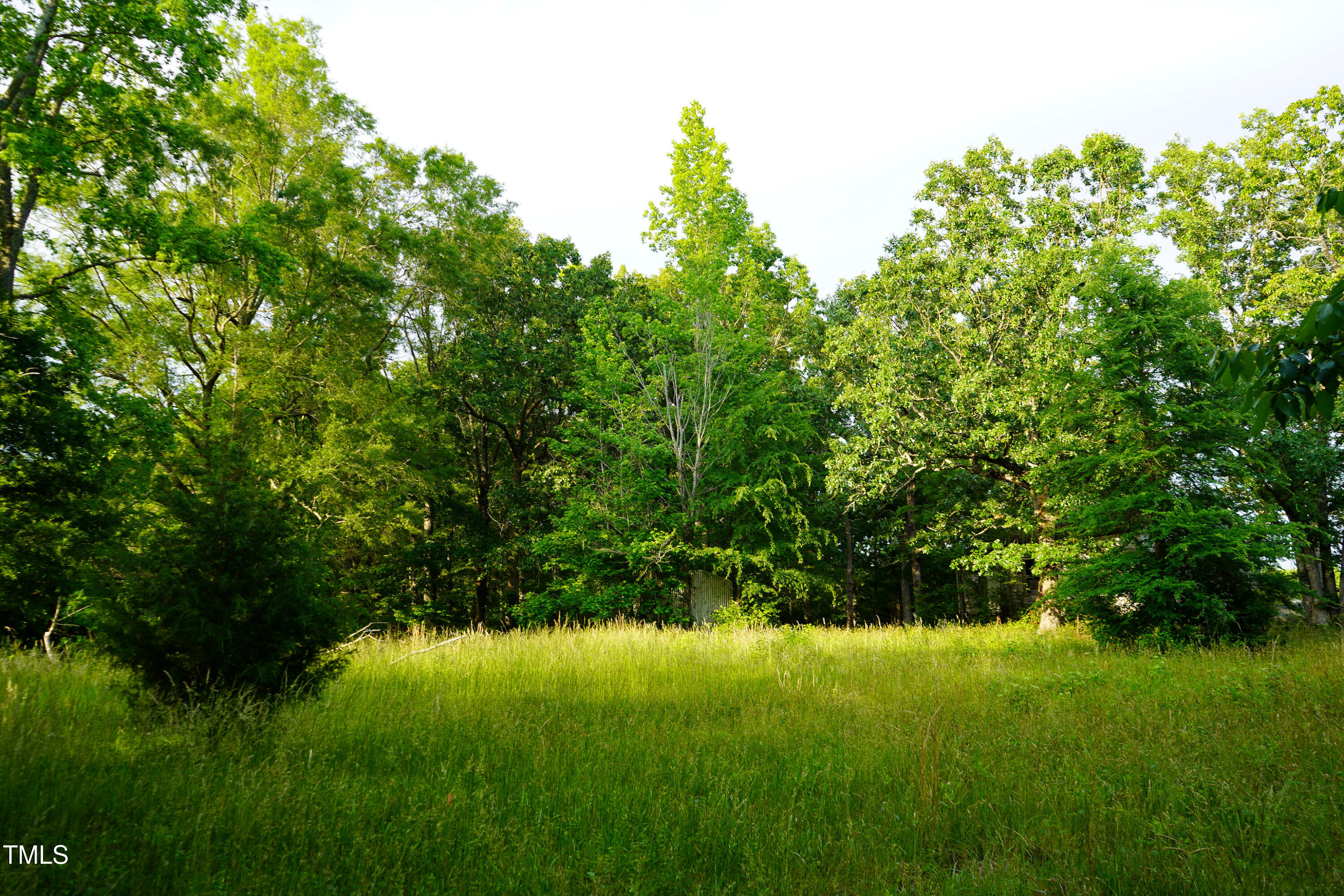 52.8-acres Atkins Road Mebane, NC 27302 - Photo 8 of 36 8
