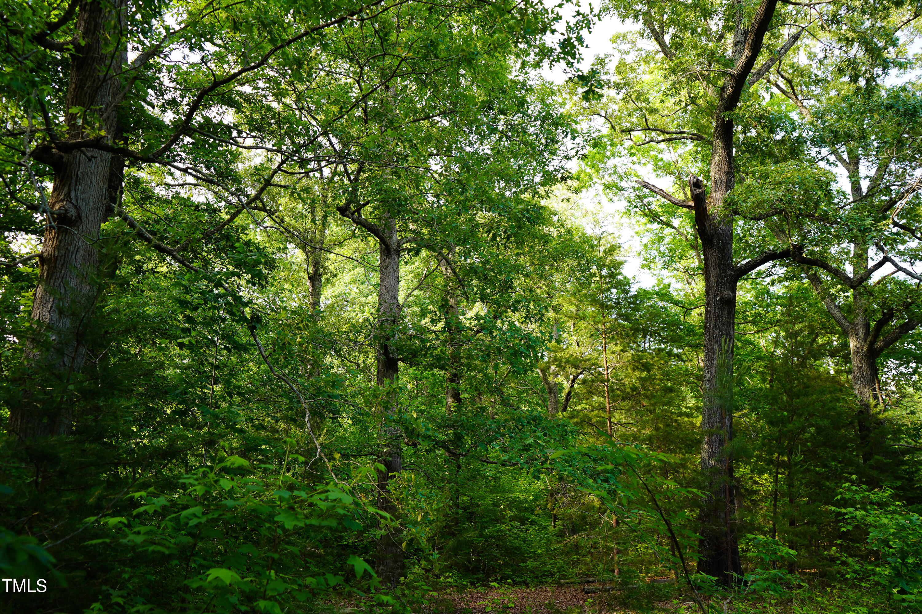 52.8-acres Atkins Road Mebane, NC 27302 - Photo 10 of 36 10