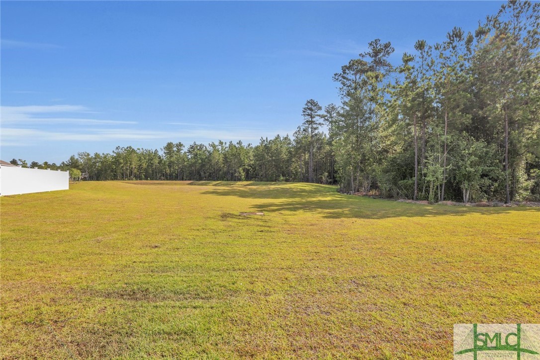 132 Skylark Road Bloomingdale, GA 31302 - Photo 32 of 36