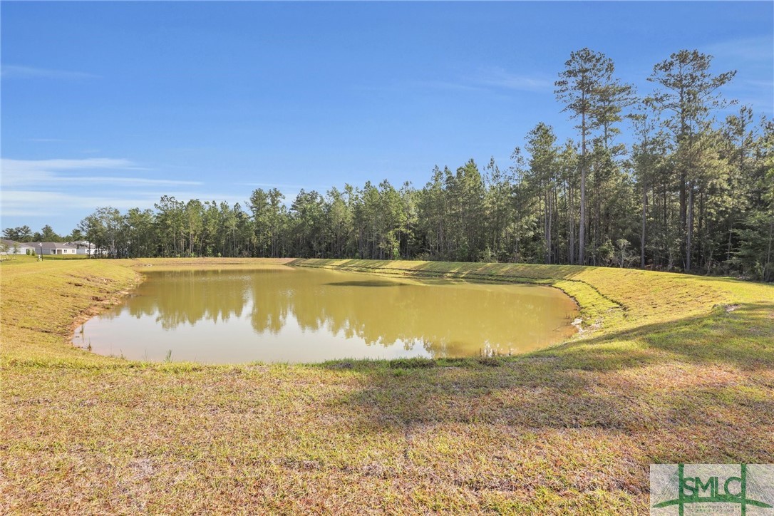 132 Skylark Road Bloomingdale, GA 31302 - Photo 33 of 36