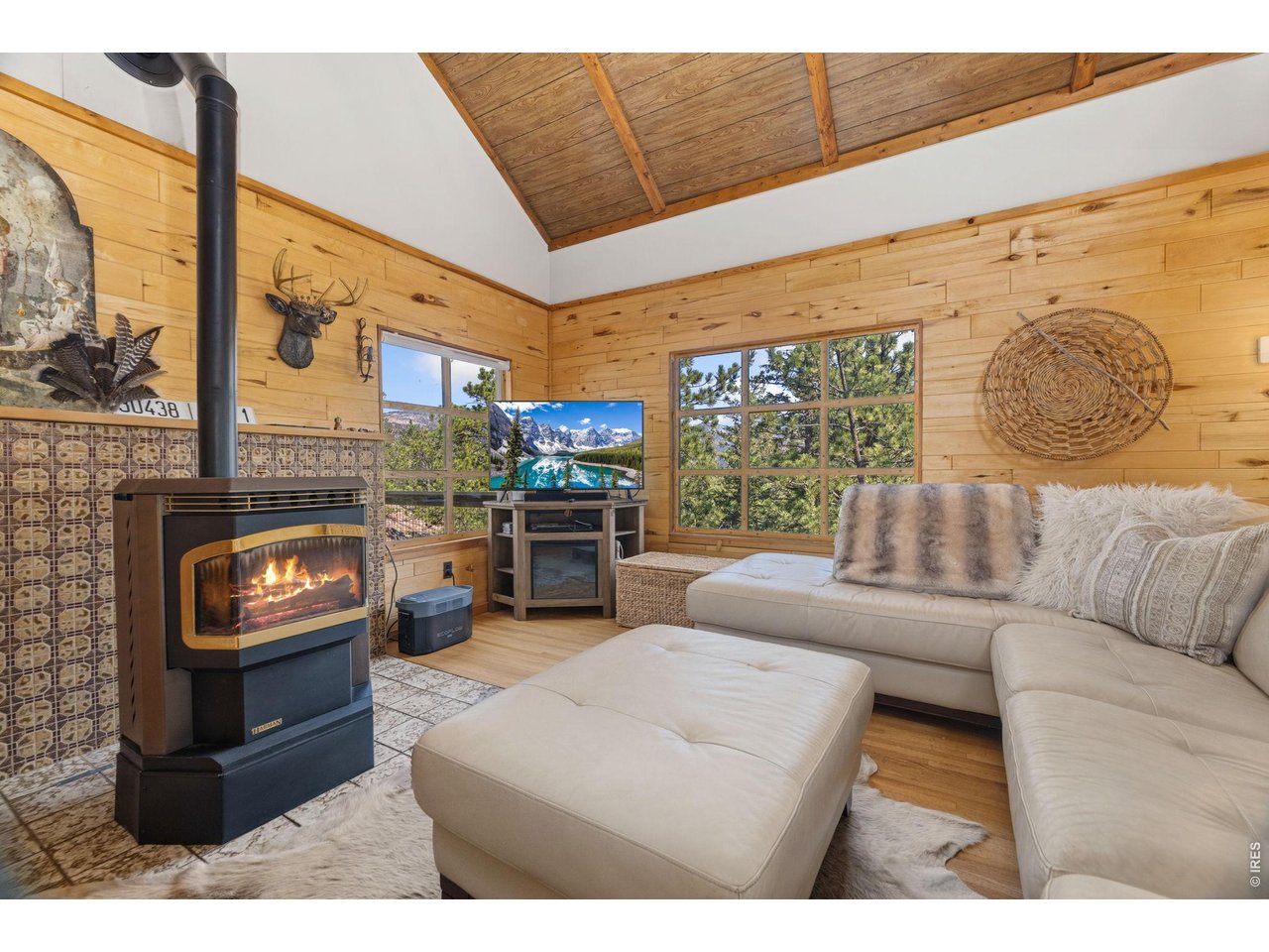 128 Elk Road Lyons, CO 80540 - Photo 6 of 50 Living room with pellet stove and vaulted ceilings