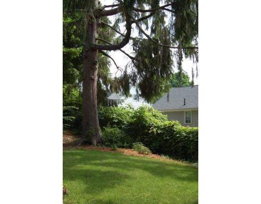 80 Watson Road Belmont, MA 02478 - Photo 14 of 15 a view of a yard in front of the house