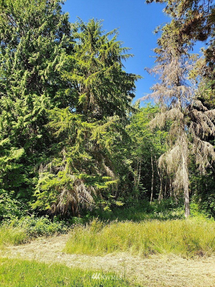 21505 President Point Road Northeast Kingston, WA 98346 - Photo 26 of 28 Gallery Image 26