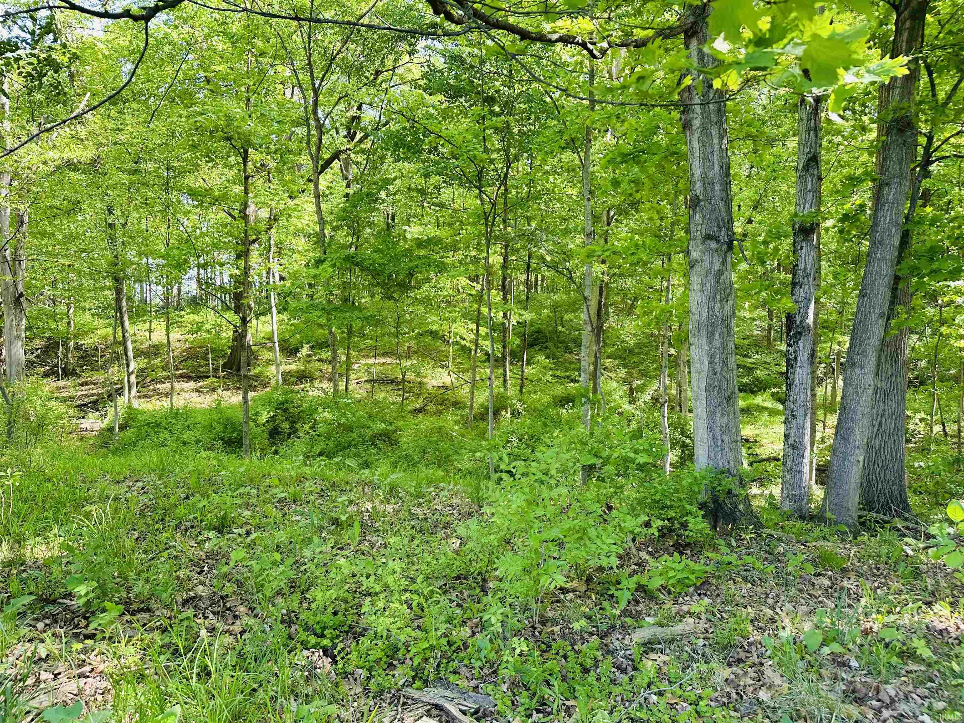 23600 New Road South Bend, IN 46614 - Photo 19 of 36 Gallery Image 19