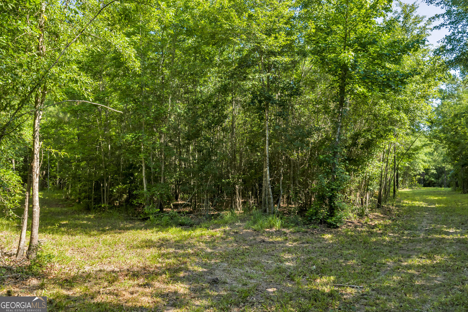 651 Branan Road Toomsboro, GA 31090 - Photo 50 of 53