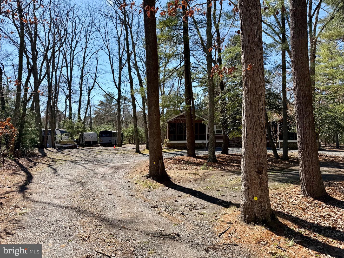 1176 Stokes Road Medford, NJ 08055 - Photo 2 of 27 a view of a backyard with large trees