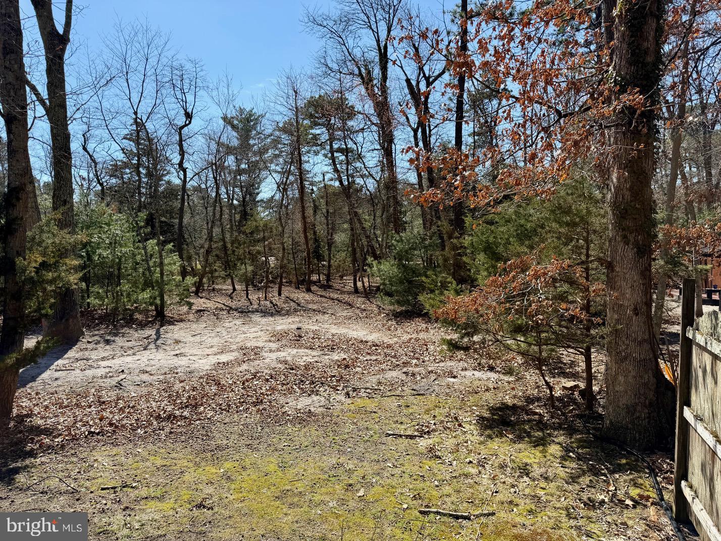 1176 Stokes Road Medford, NJ 08055 - Photo 25 of 27 a view of outdoor space and yard