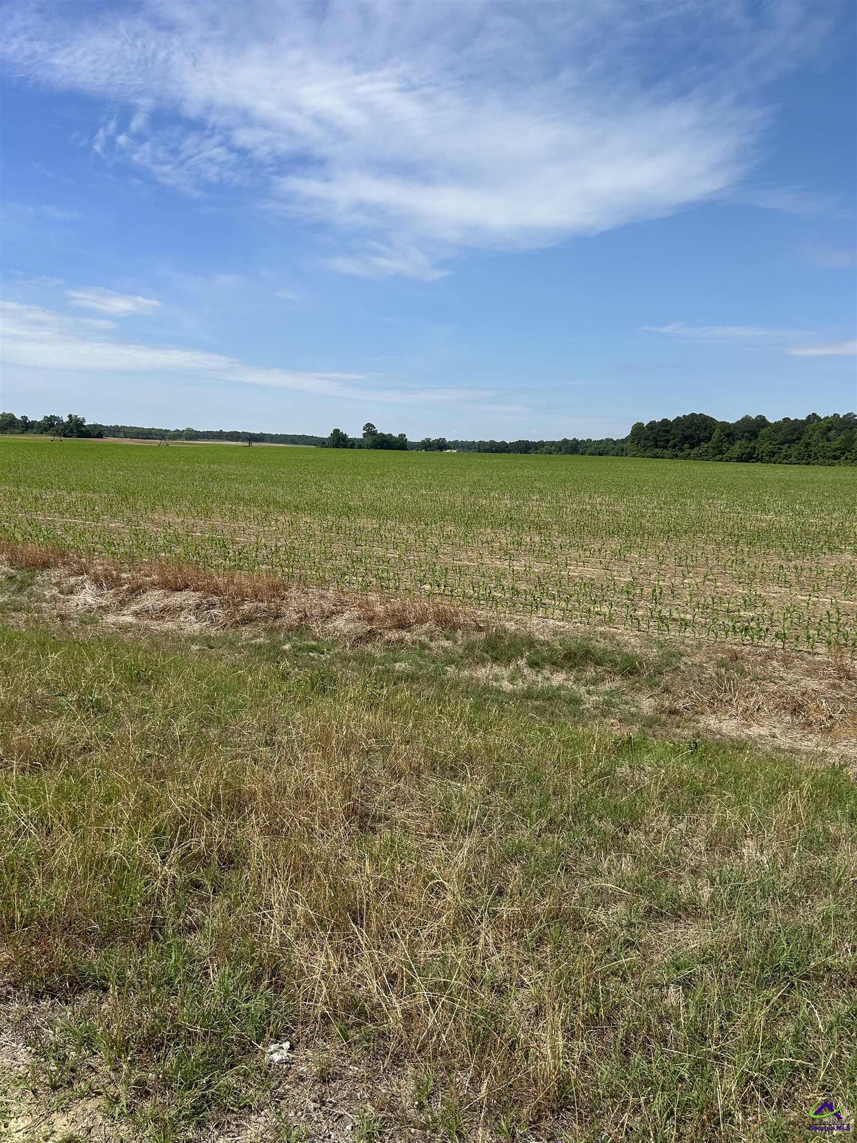 Royal Road Unadilla, GA 31091 - Photo 5 of 15