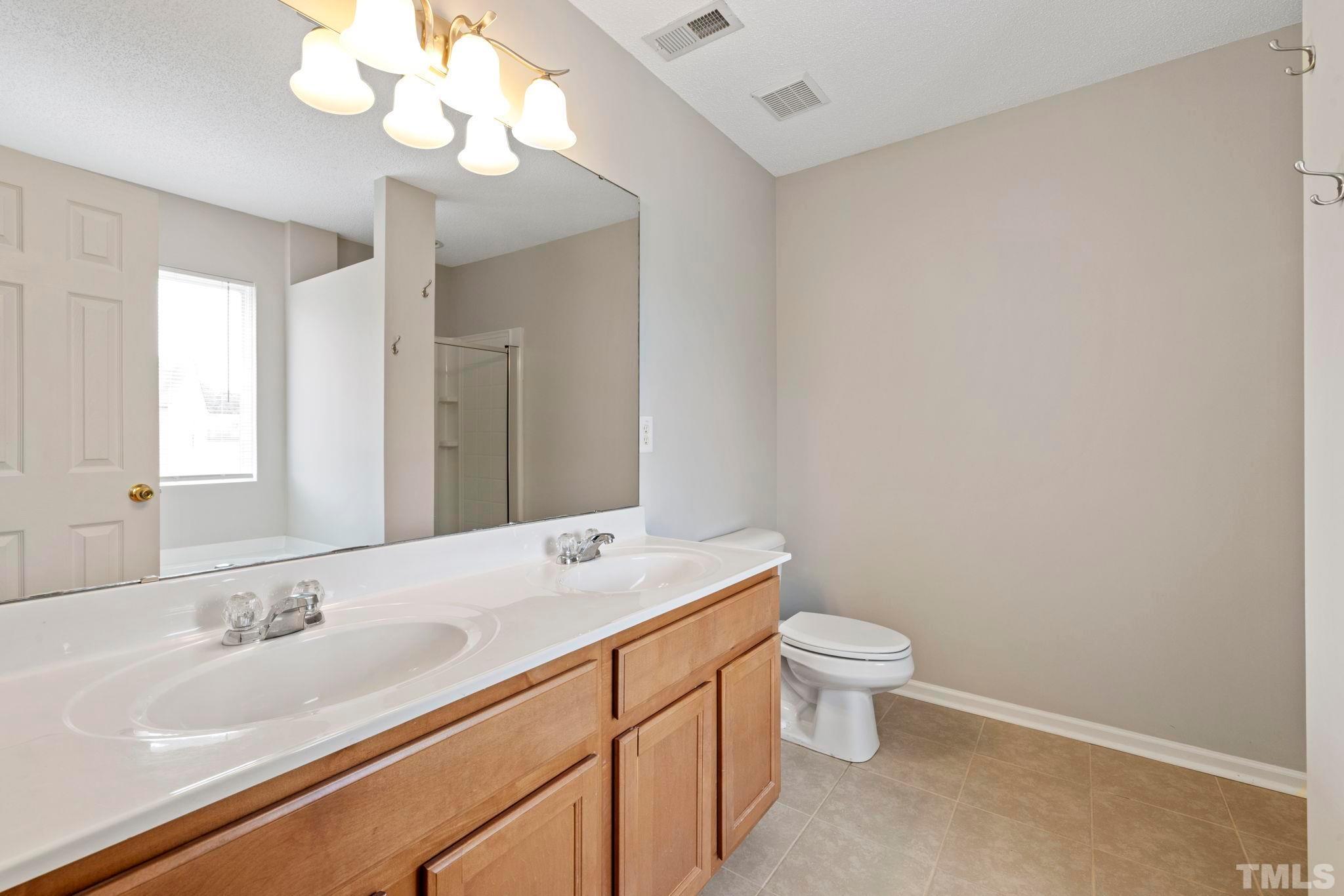 3519 Mountain Brook Circle Durham, NC 27704 - Photo 20 of 24 a bathroom with a sink a toilet and a mirror