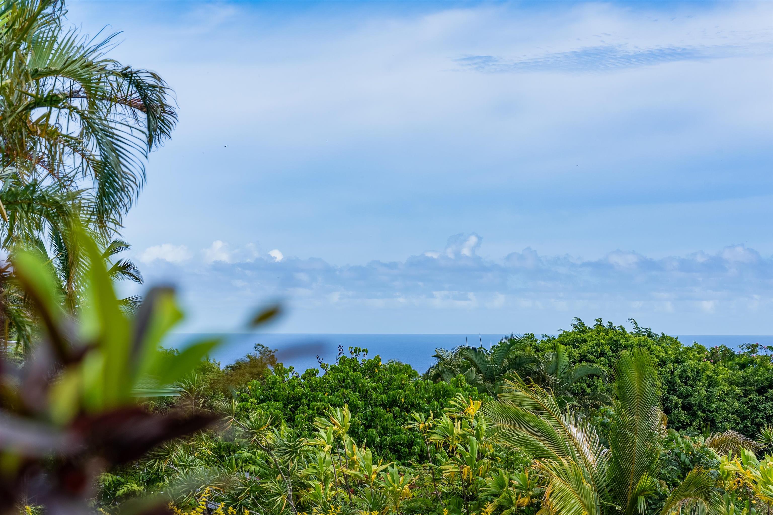 20 Kapuaimilia Place Haiku, HI 96708 - Photo 4 of 50