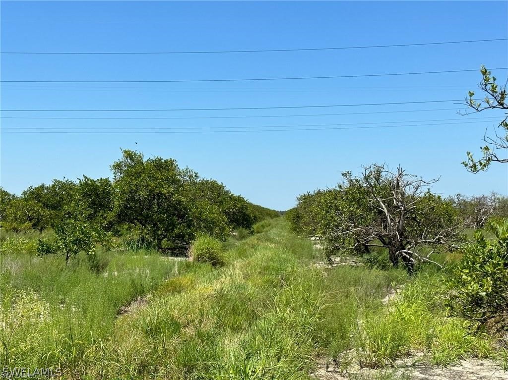6-th Sears Road LaBelle, FL 33935 - Photo 5 of 5 a view of a lake
