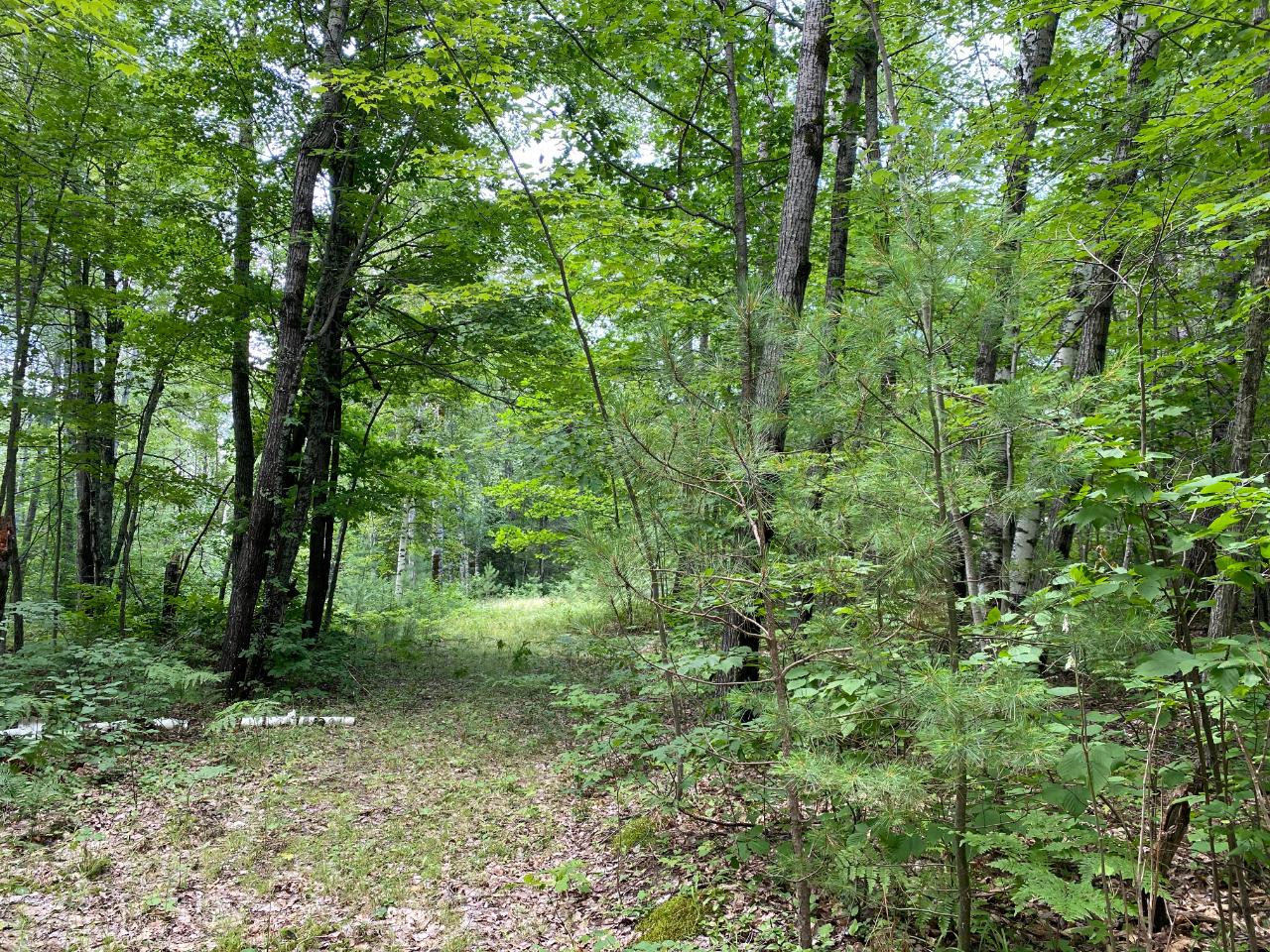 234 Wykowski Road Three Lakes, WI 54562 - Photo 1 of 6 Gallery Image 1