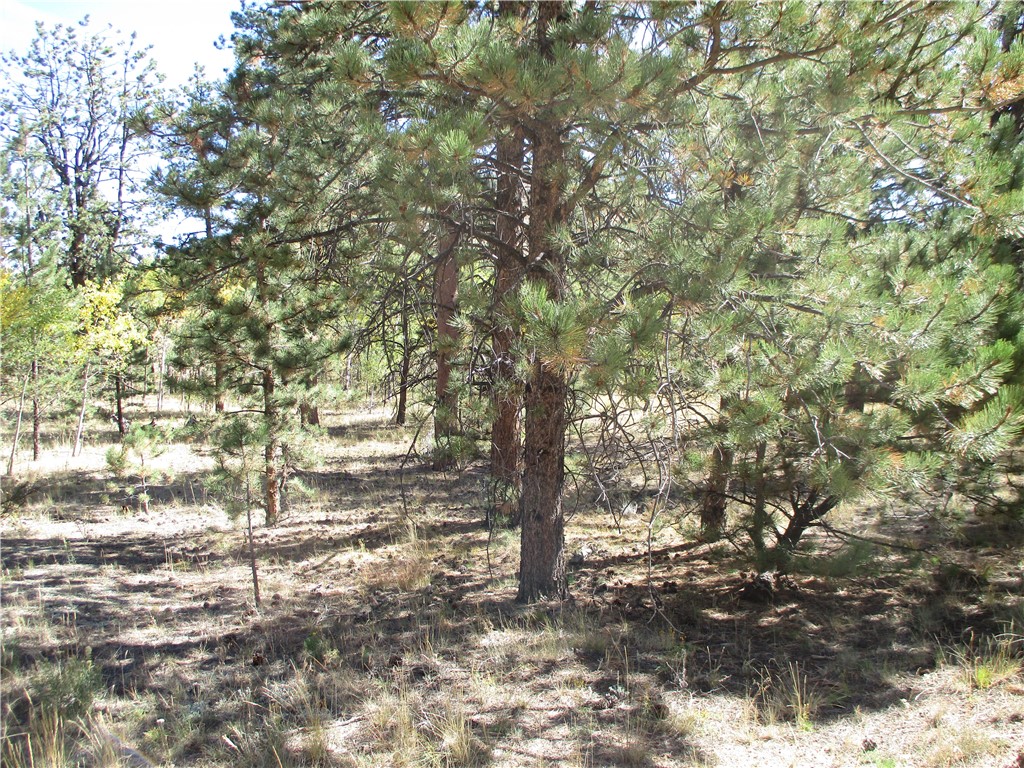 166 Haystack Road Hartsel, CO 80449 - Photo 12 of 16 Gallery Image 12