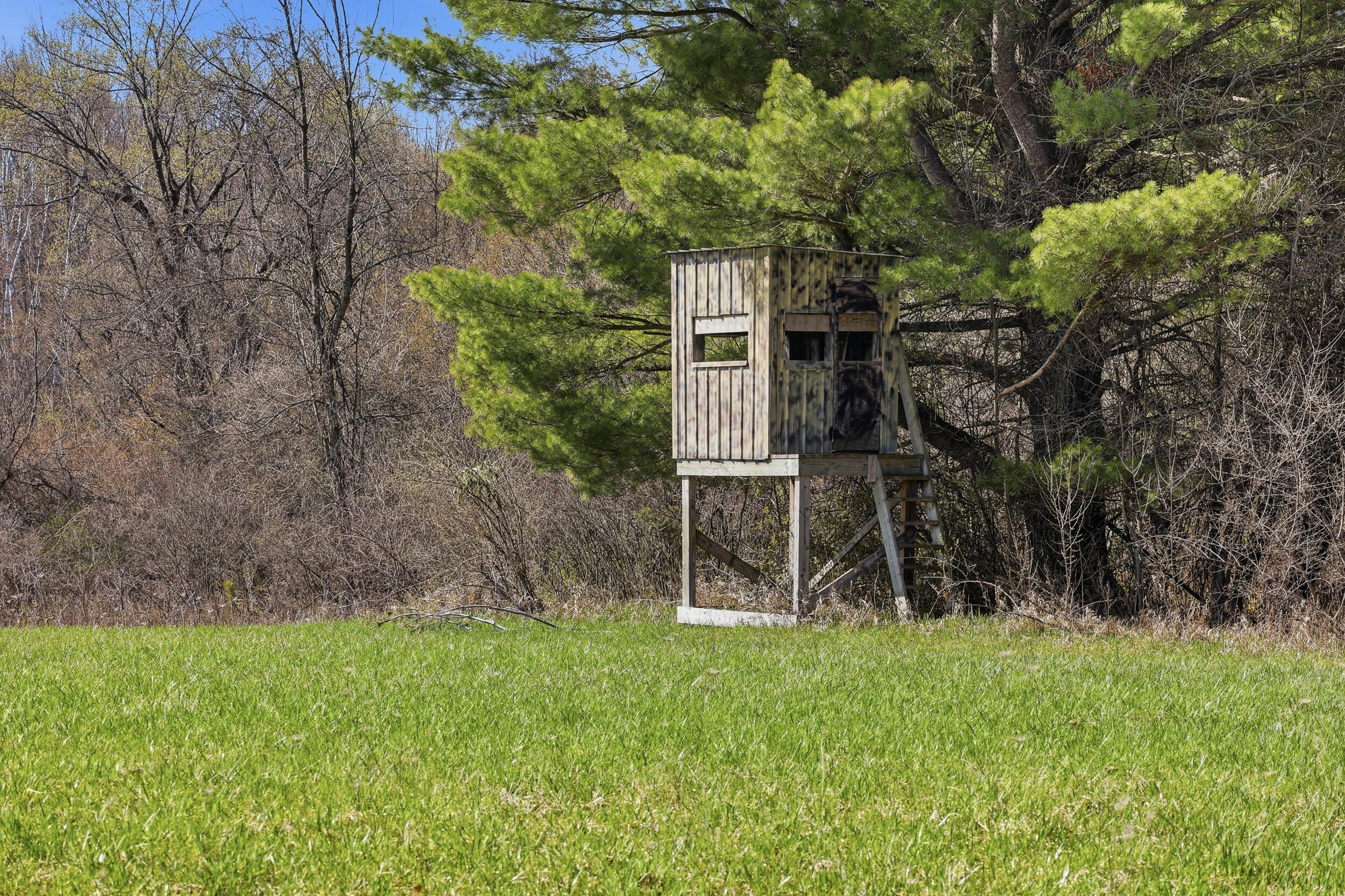 4087 4 Mile Road Sears, MI 49679 - Photo 17 of 39 Deer Blind