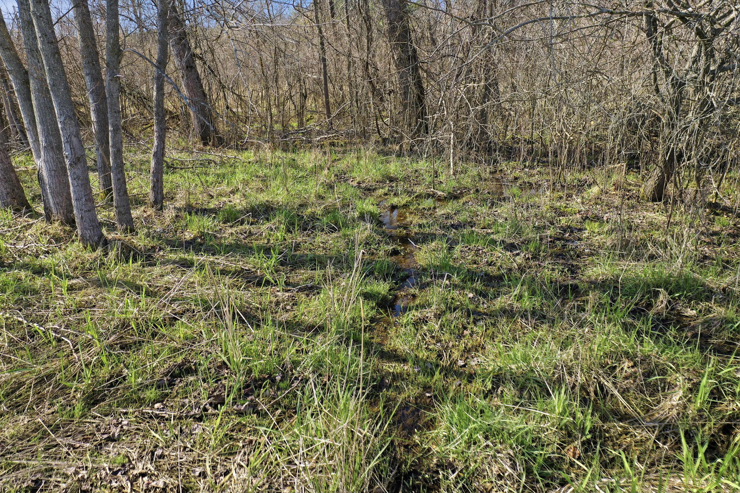 4087 4 Mile Road Sears, MI 49679 - Photo 30 of 39 Small Creek on Property