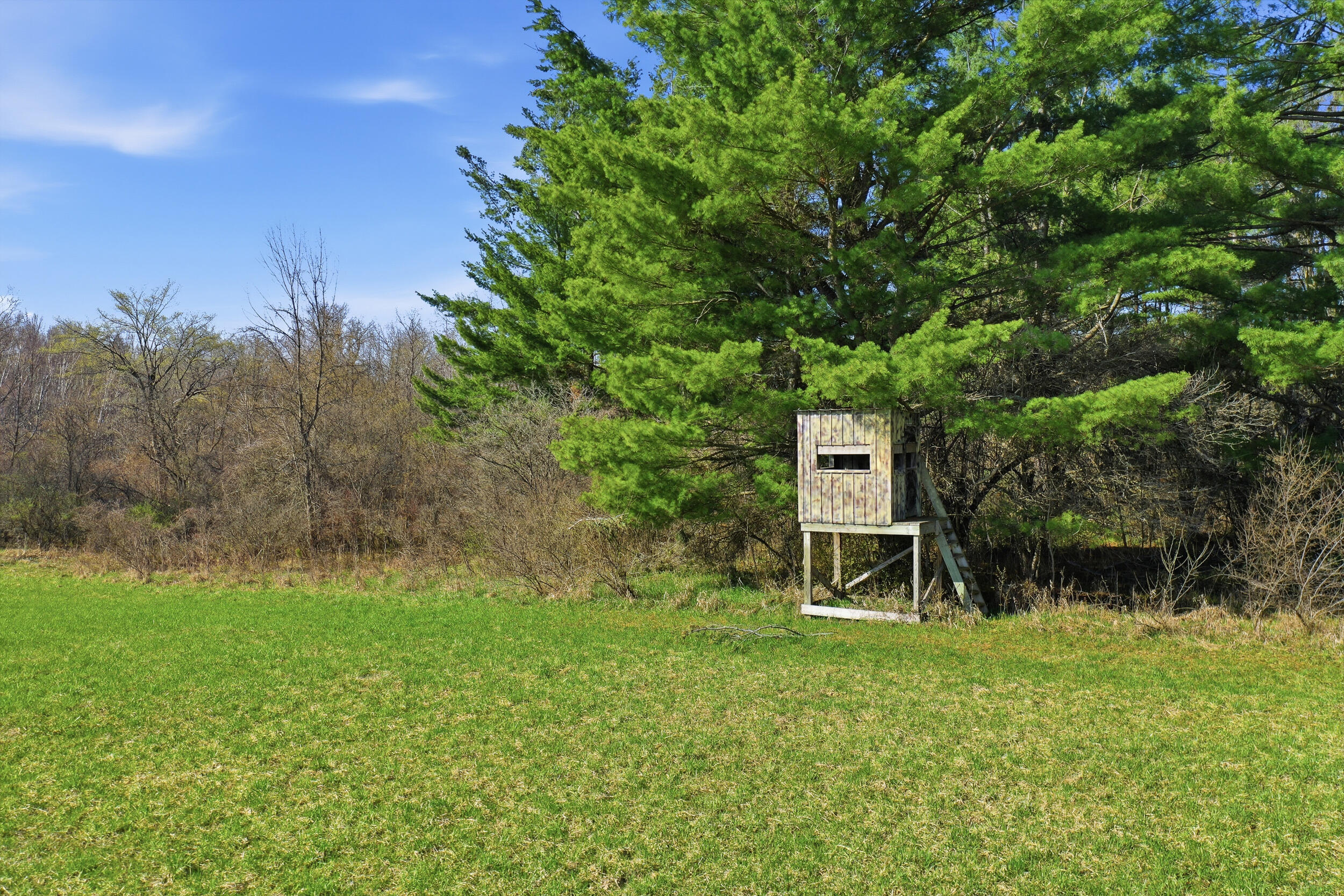 4087 4 Mile Road Sears, MI 49679 - Photo 36 of 39 Deer Blinds on Property