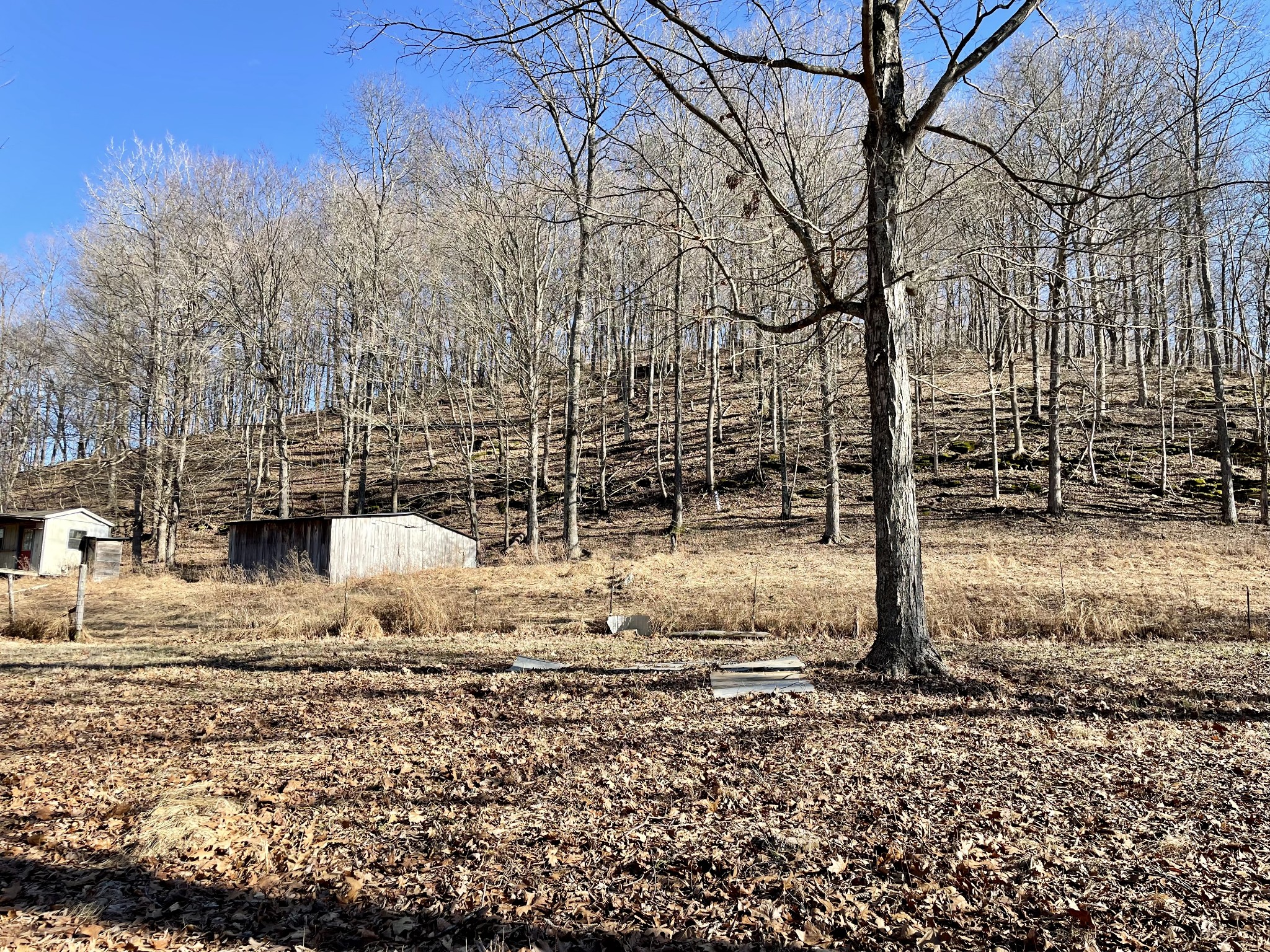 0 Duffer Hollow Road Bethpage, TN 37022 - Photo 16 of 37 a view of yard with wooden fence