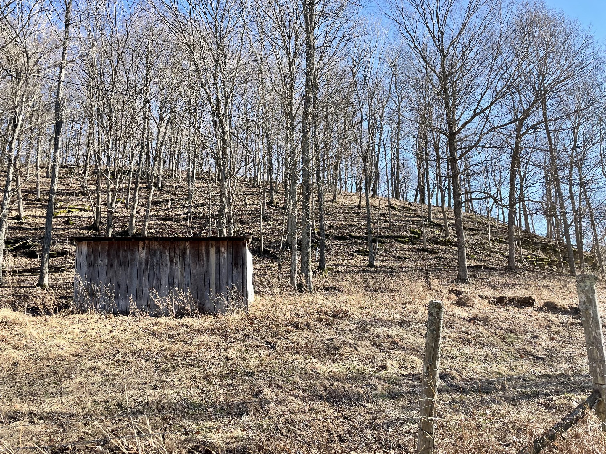 0 Duffer Hollow Road Bethpage, TN 37022 - Photo 17 of 37 a backyard of a house with lots of green space