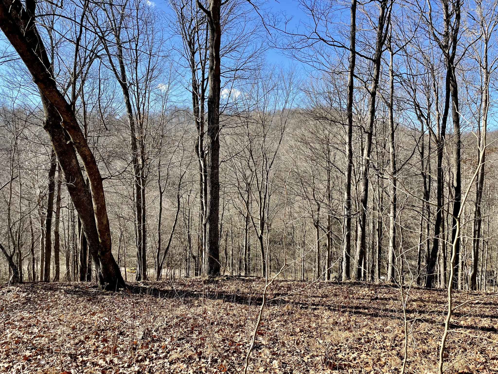 0 Duffer Hollow Road Bethpage, TN 37022 - Photo 2 of 37 a view of a backyard of the house