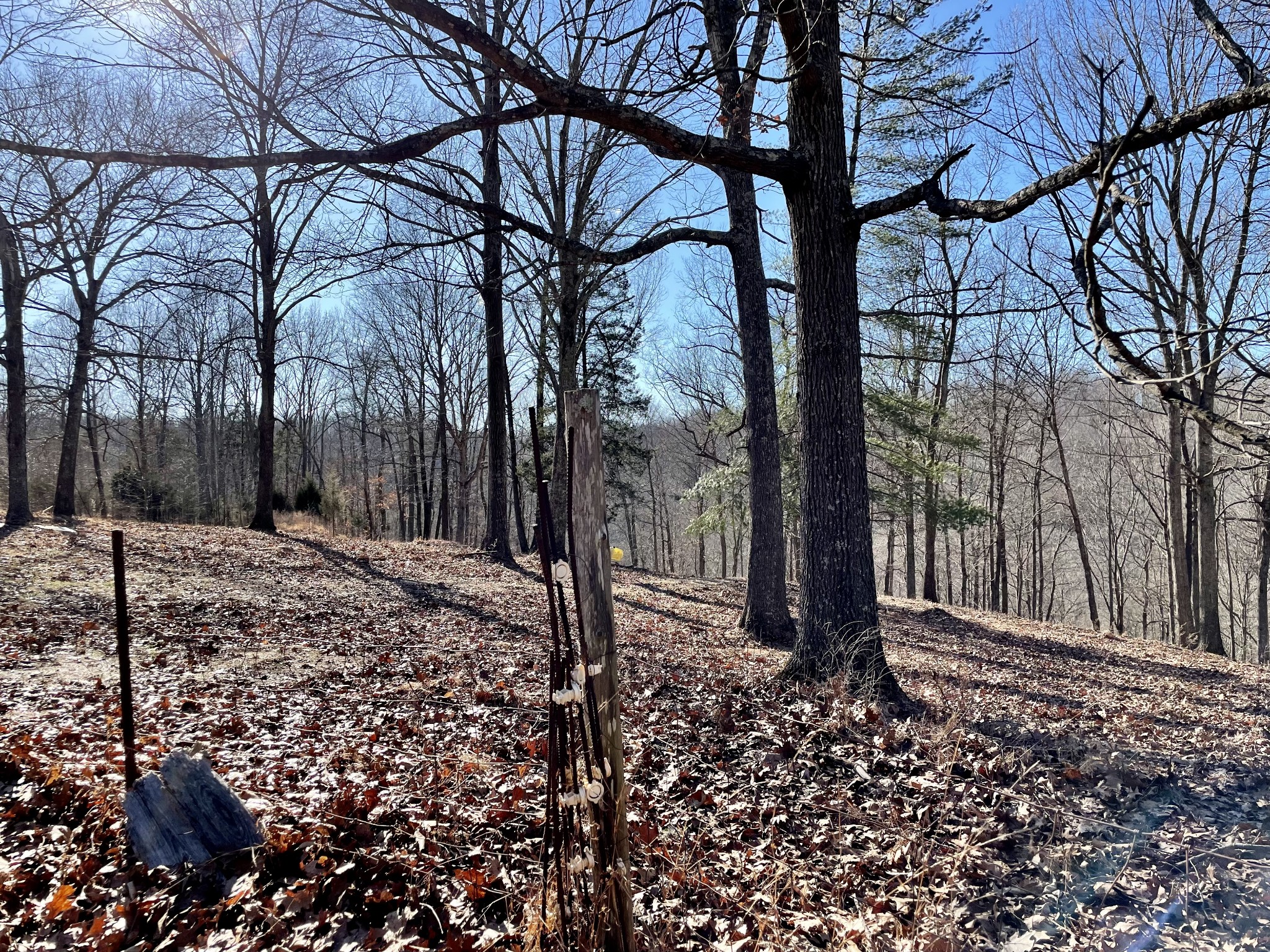0 Duffer Hollow Road Bethpage, TN 37022 - Photo 28 of 37 a backyard of a house with lots of green space