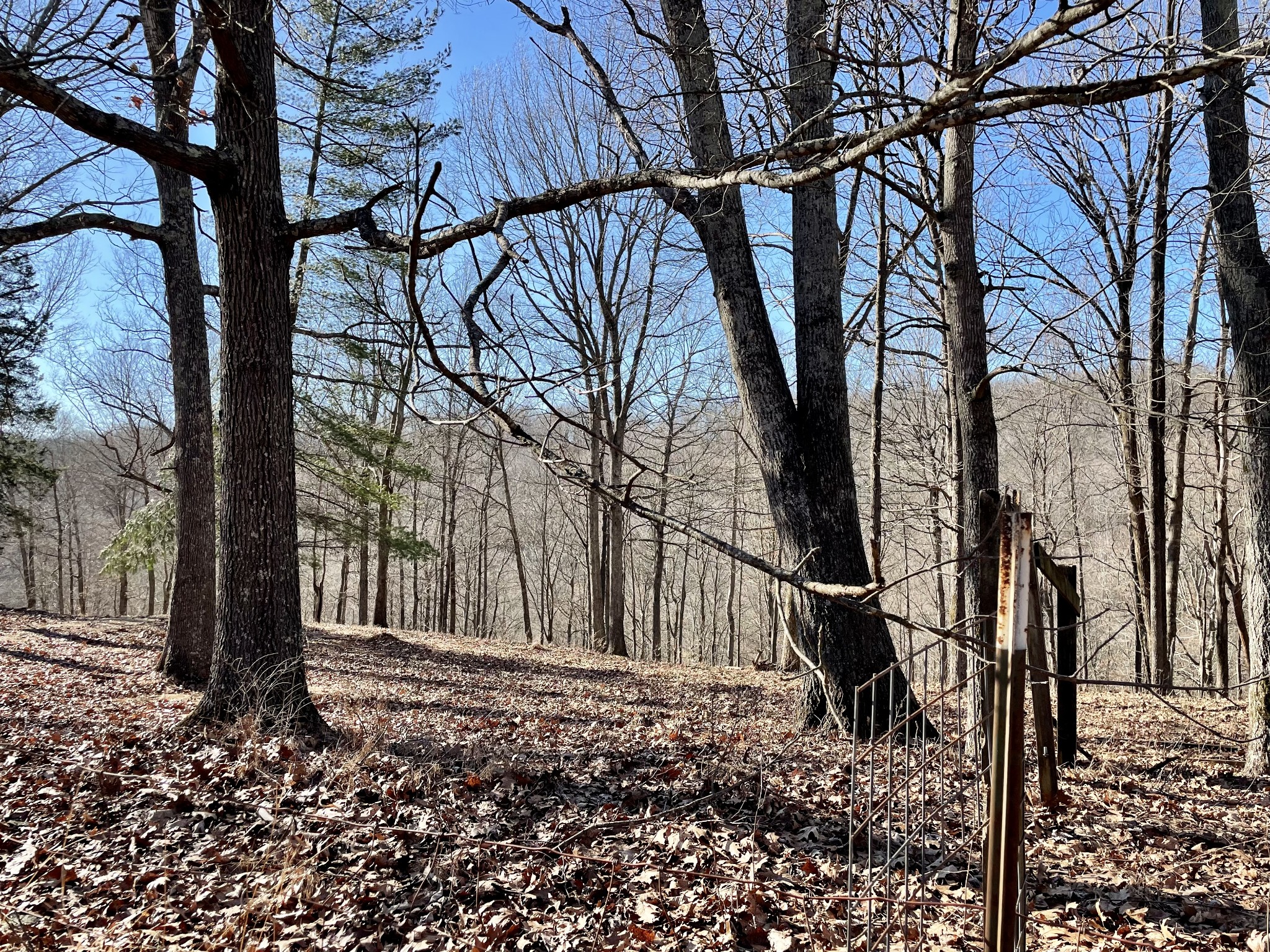 0 Duffer Hollow Road Bethpage, TN 37022 - Photo 31 of 37 a backyard of a house with lots of green space