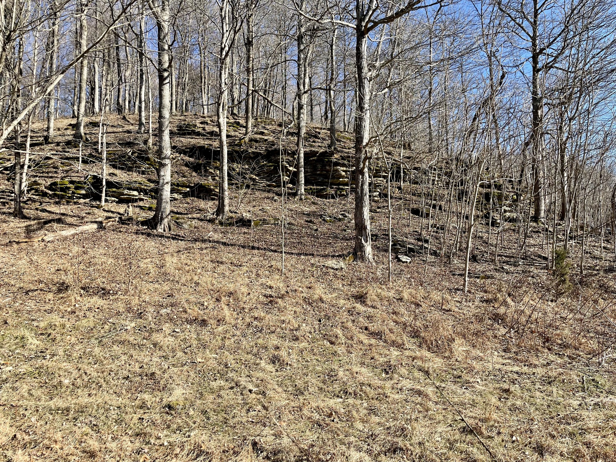 0 Duffer Hollow Road Bethpage, TN 37022 - Photo 4 of 37 a view of empty space with wooden fence
