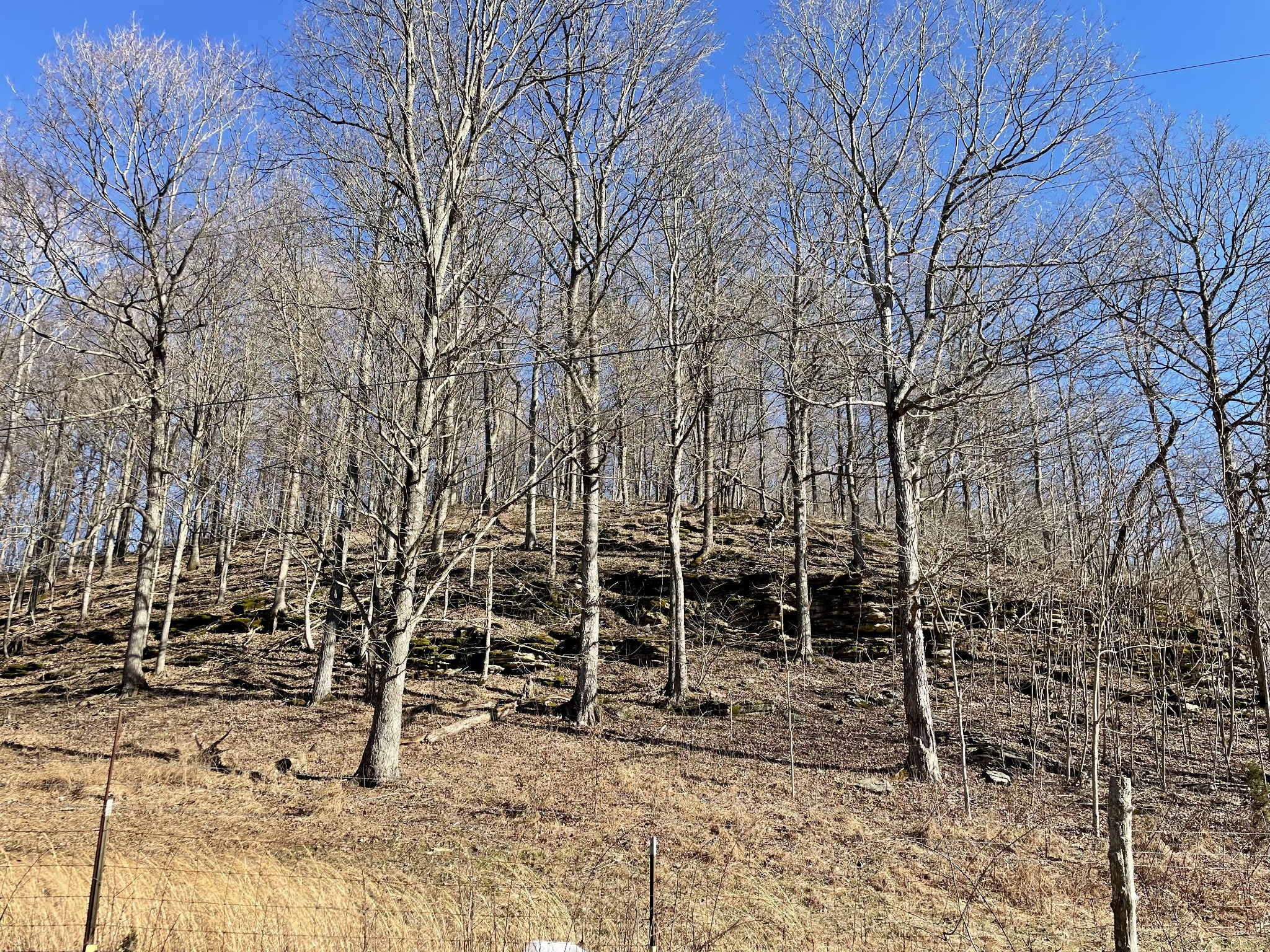 0 Duffer Hollow Road Bethpage, TN 37022 - Photo 6 of 37 a backyard of a house with lots of green space
