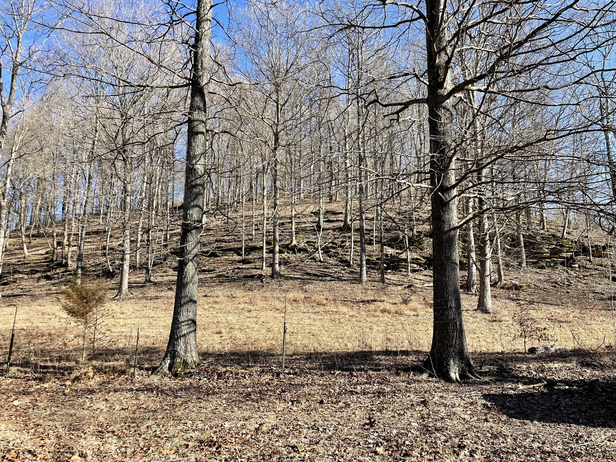 0 Duffer Hollow Road Bethpage, TN 37022 - Photo 10 of 37 a backyard of a house
