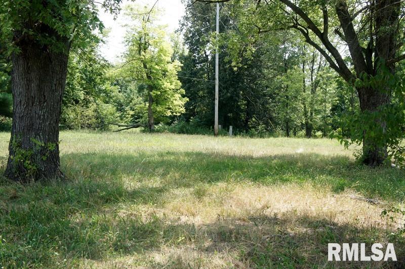 2134 East 5th Street Metropolis, IL 62960 - Photo 5 of 25 a view of a green yard
