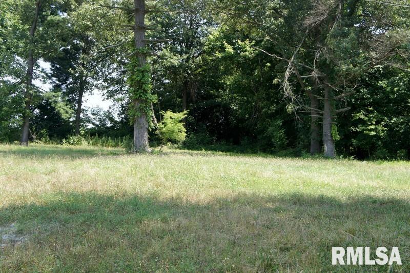 2134 East 5th Street Metropolis, IL 62960 - Photo 7 of 25 a view of outdoor space and yard