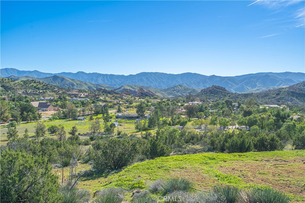 10540 Darling Road Agua Dulce, CA 91390 - Photo 43 of 56 Rocks and mountains view
