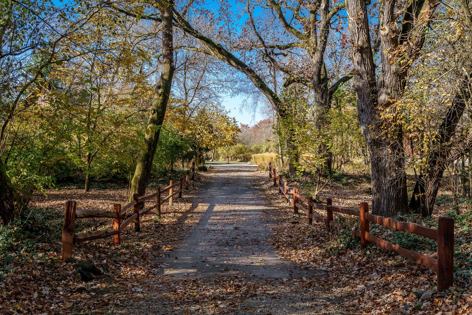 2317 Paulson Road Harvard, IL 60033 - Photo 29 of 37 a backyard of a house with table and chairs