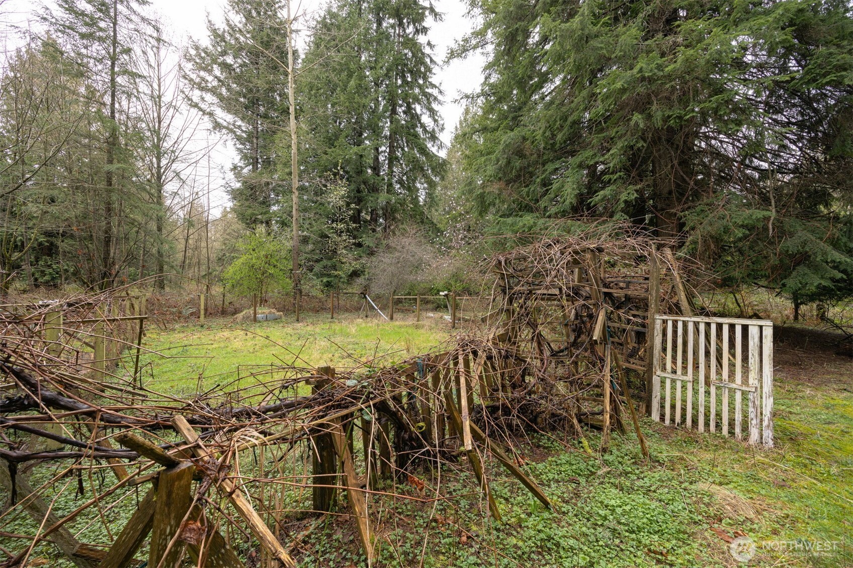 8383 Custer School Road Custer, WA 98240 - Photo 37 of 40