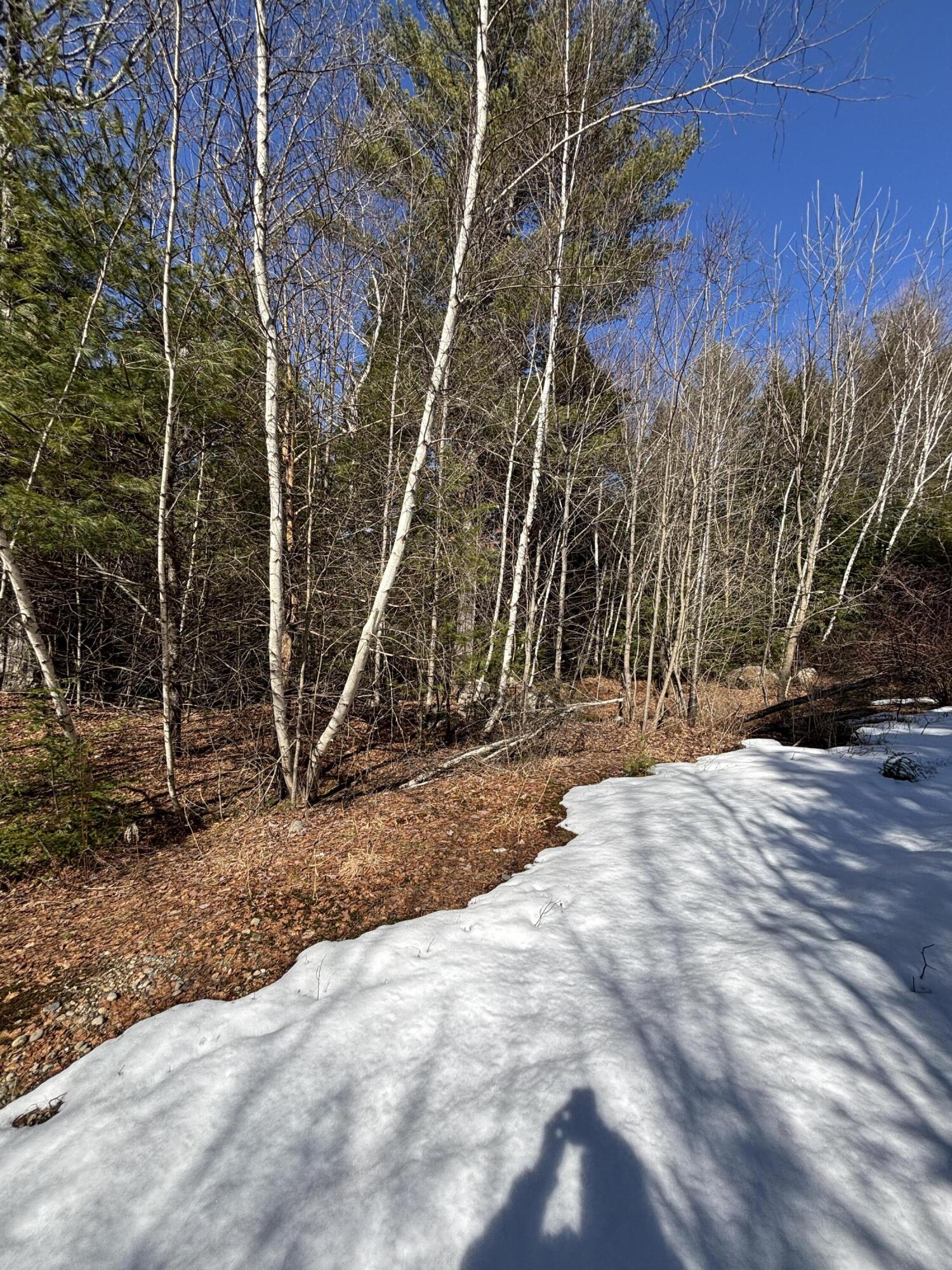 5 Bog Brook Loop West Paris, ME 04289 - Photo 4 of 4 IMG_6140