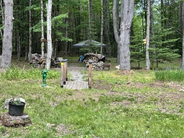 1196 Edes Falls Road Harrison, ME 04040 - Photo 21 of 22 Yard 3