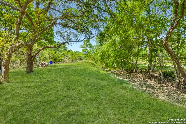 a view of green field with trees
