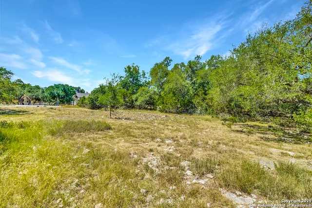 a view of a yard with a tree